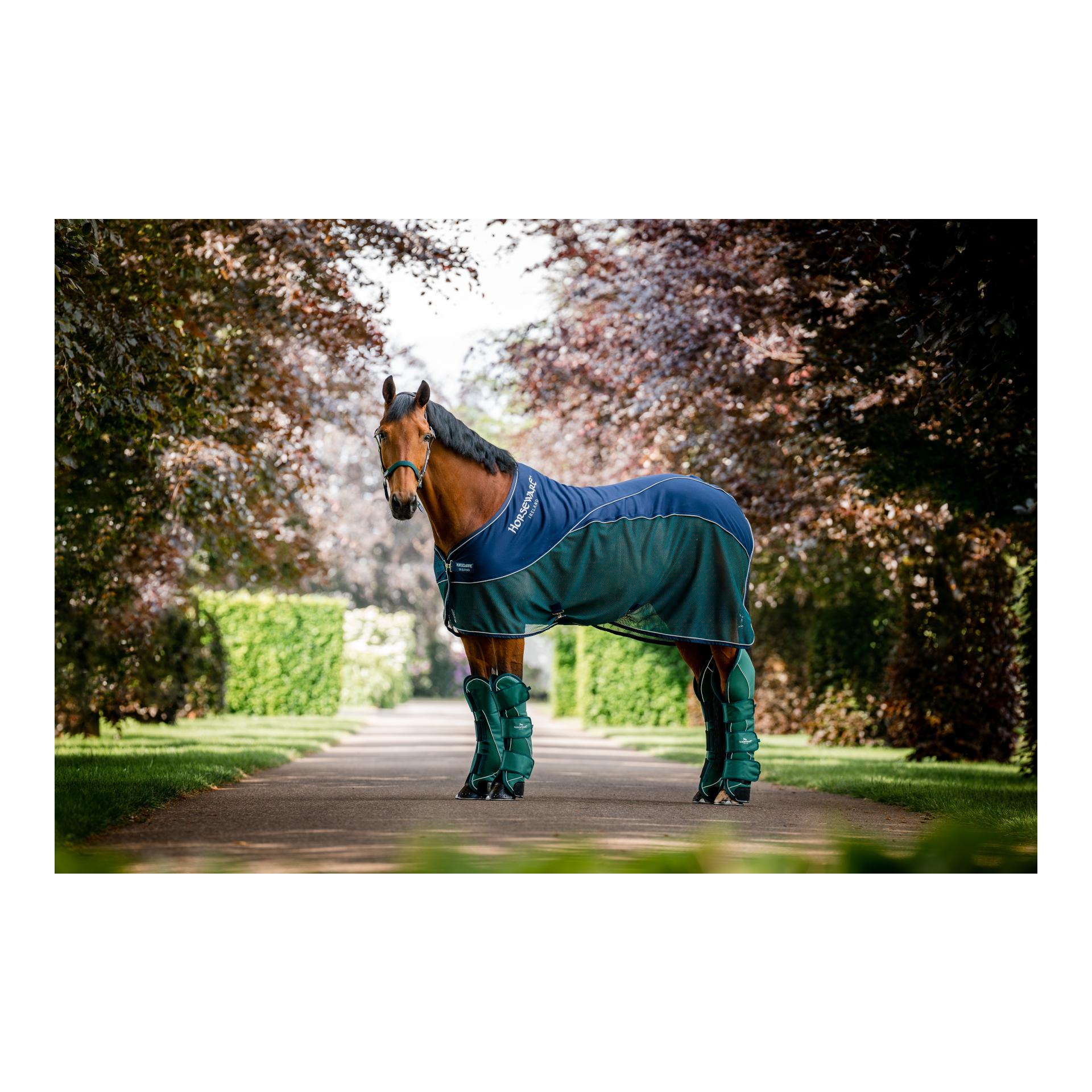 Abschwitzdecke Sport Cooler Signature und Transportgamaschen Signature Set Abschwitzdecke Sport Cooler Signature und Transportgamaschen Signature Set