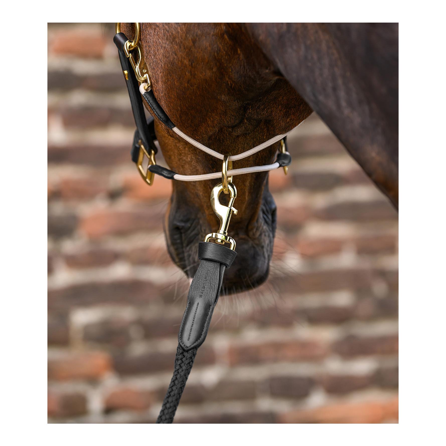 Lederhalfter S-Line Royal