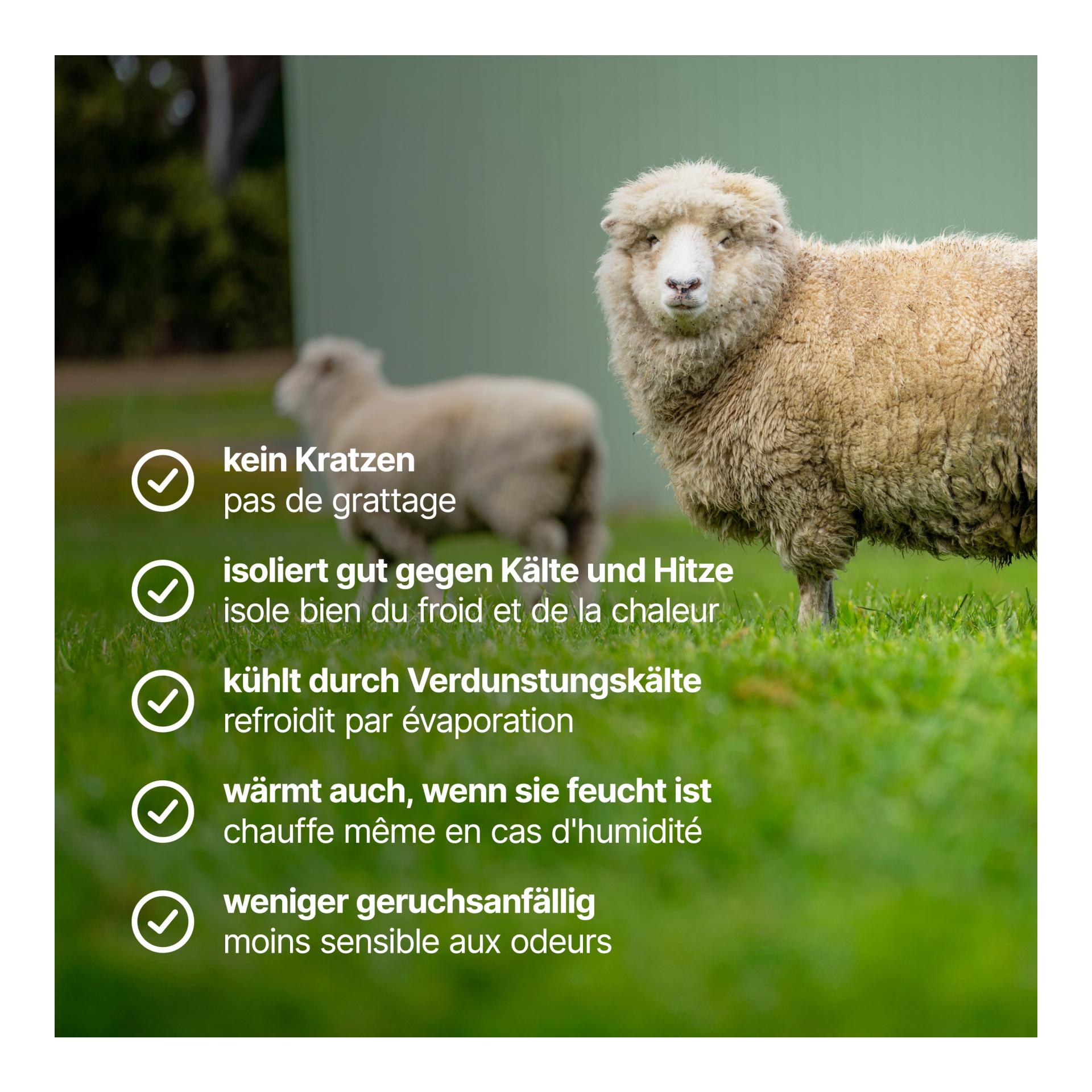 Boxer en mérinos NORO, 160gr - denim blue