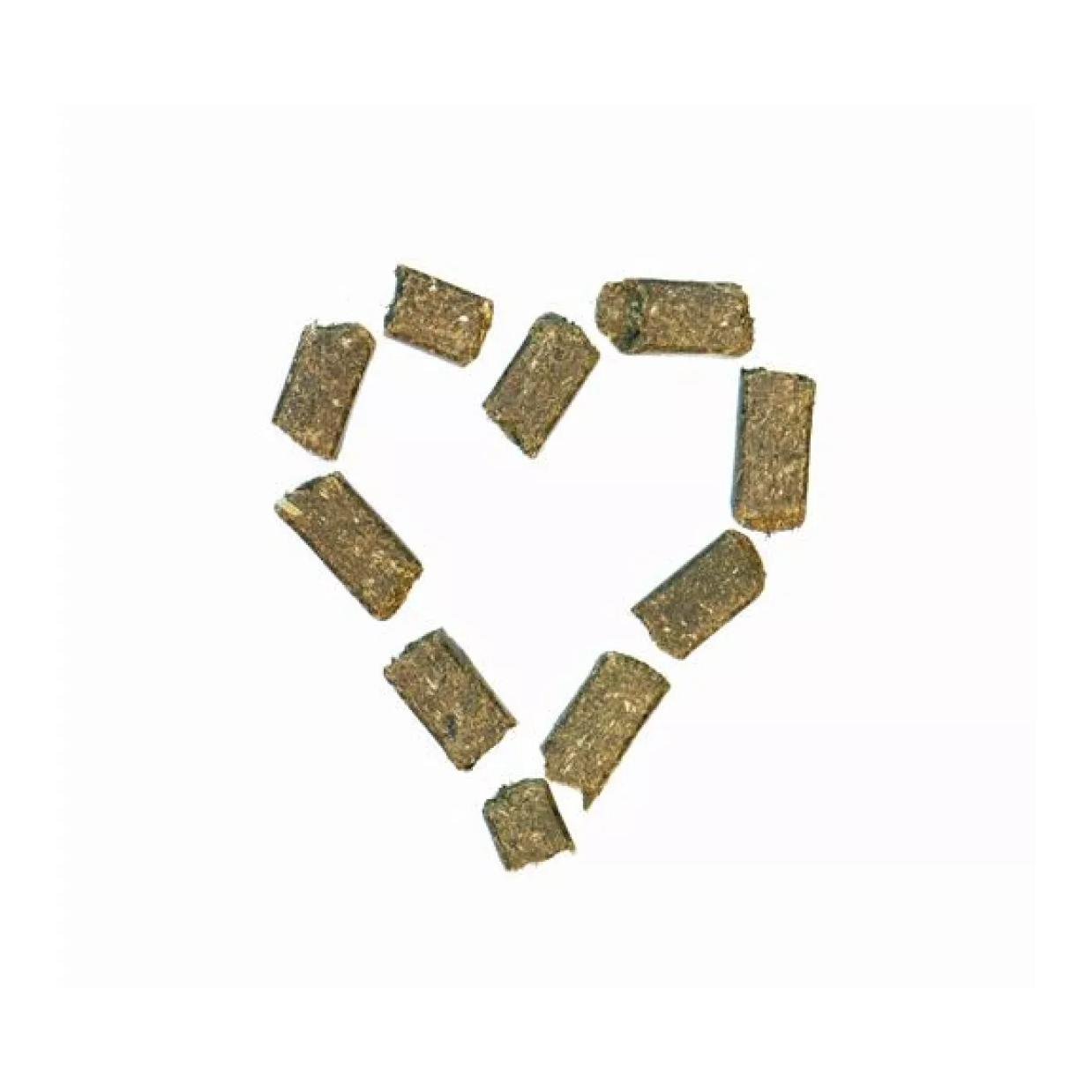 WiesenBussi WiesenBussi