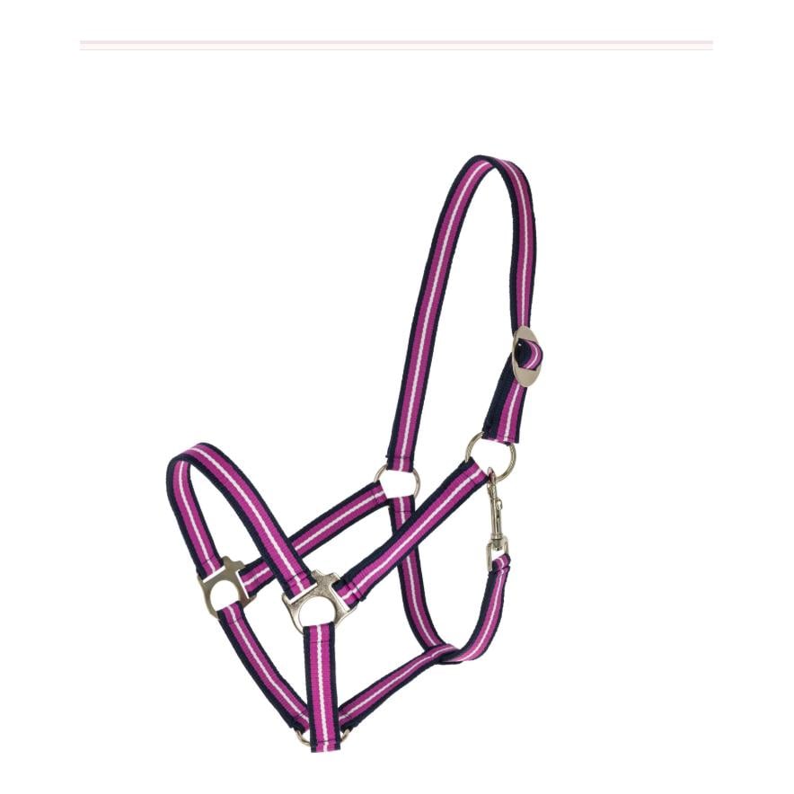 Halfter Hippo F/S 2026