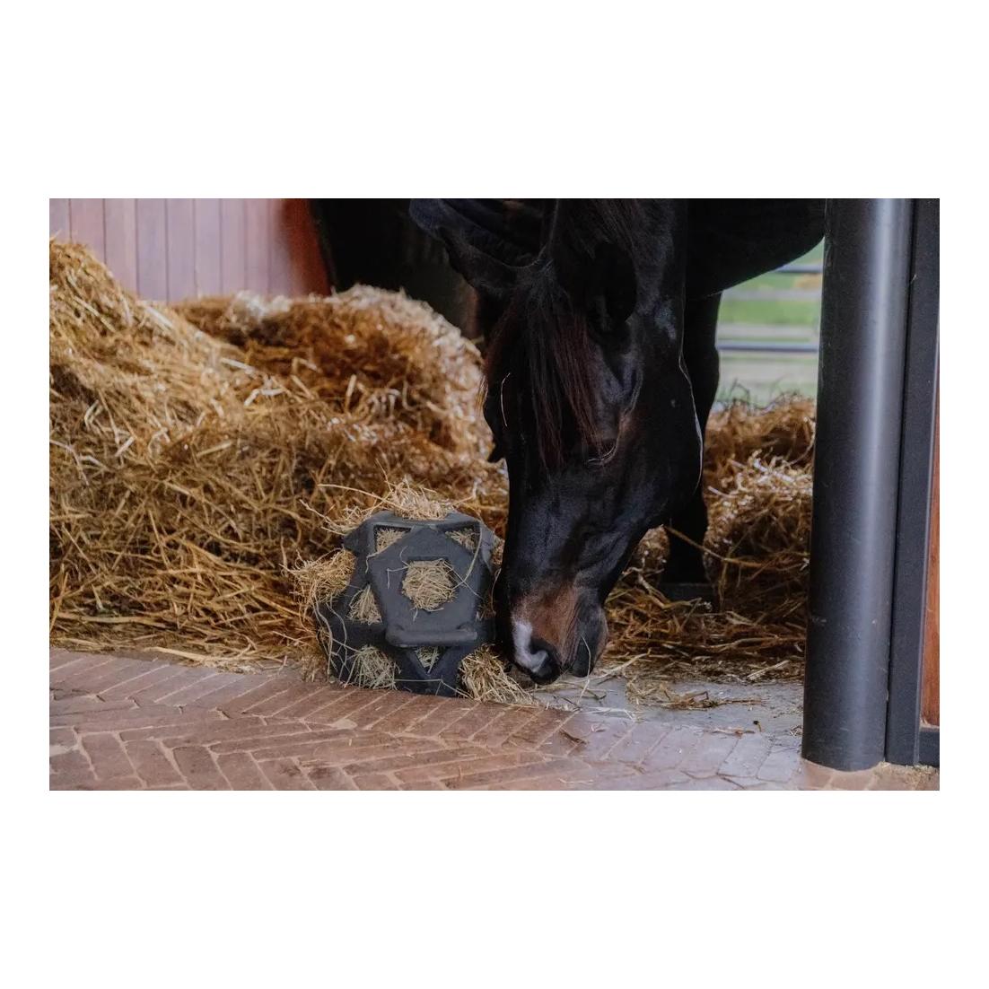 Relax Horse Spiel & Heuball Relax Horse Spiel & Heuball