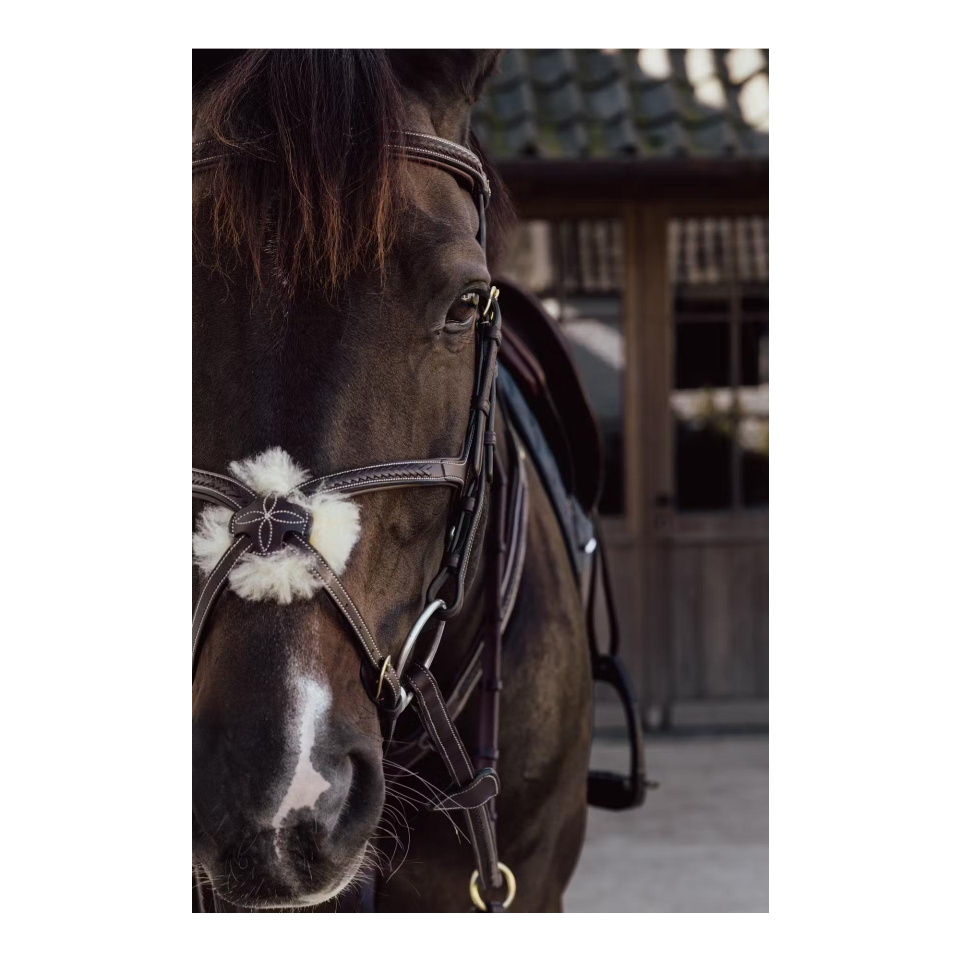 Plaited Figure 8 Noseband D Collection Plaited Figure 8 Noseband D Collection