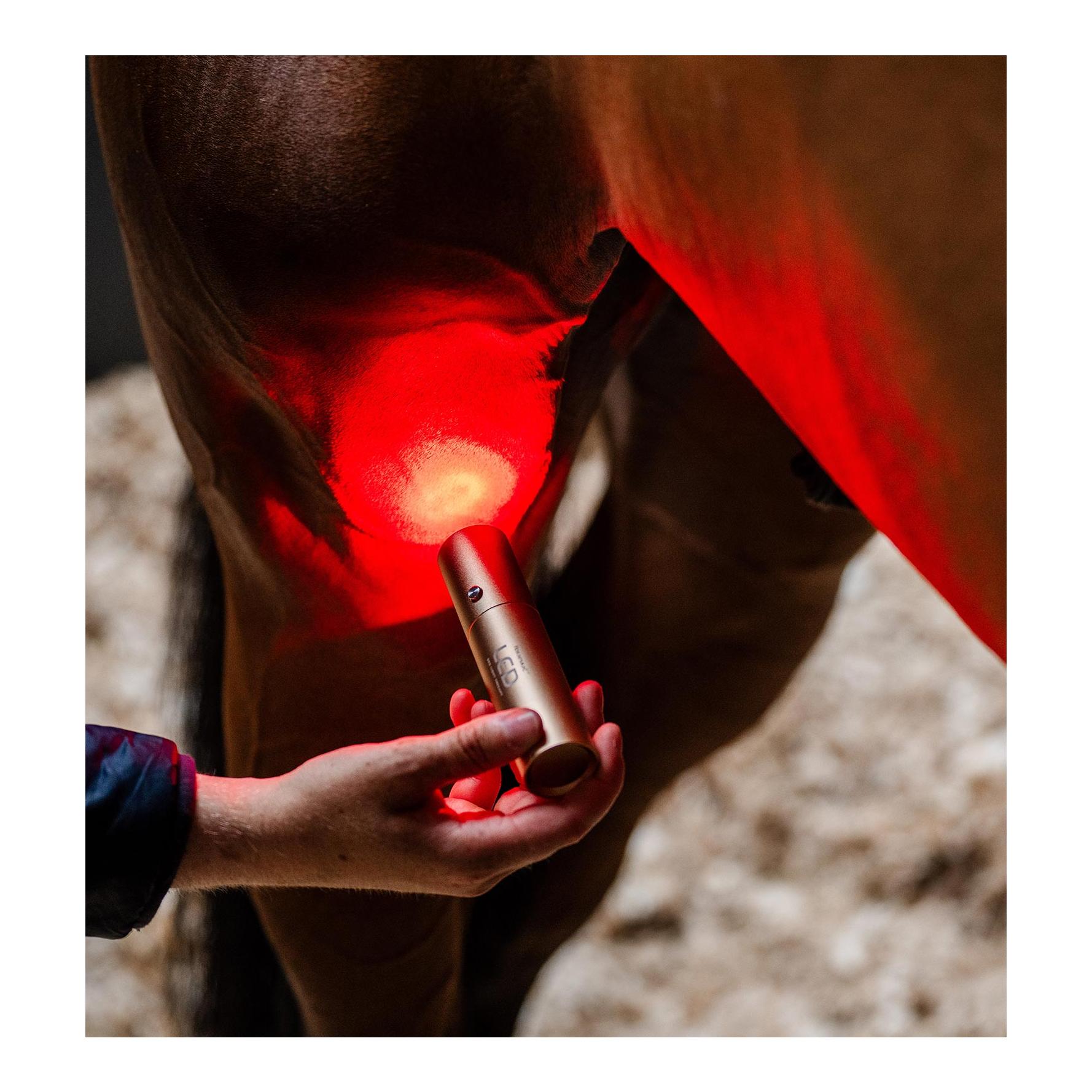 Horseware Bâton thérapeutique LED Thérapie par lumière rouge LED