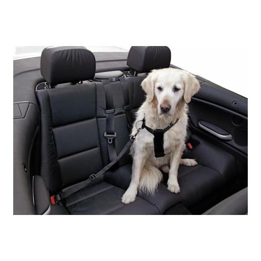 Ceinture de sécurité pour chiens