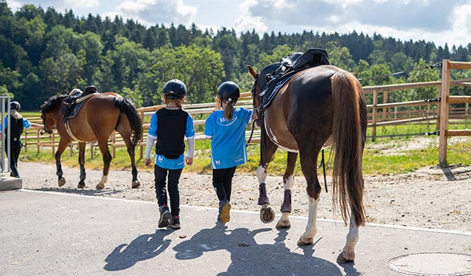 teaser-ms-sports-reitcamps02