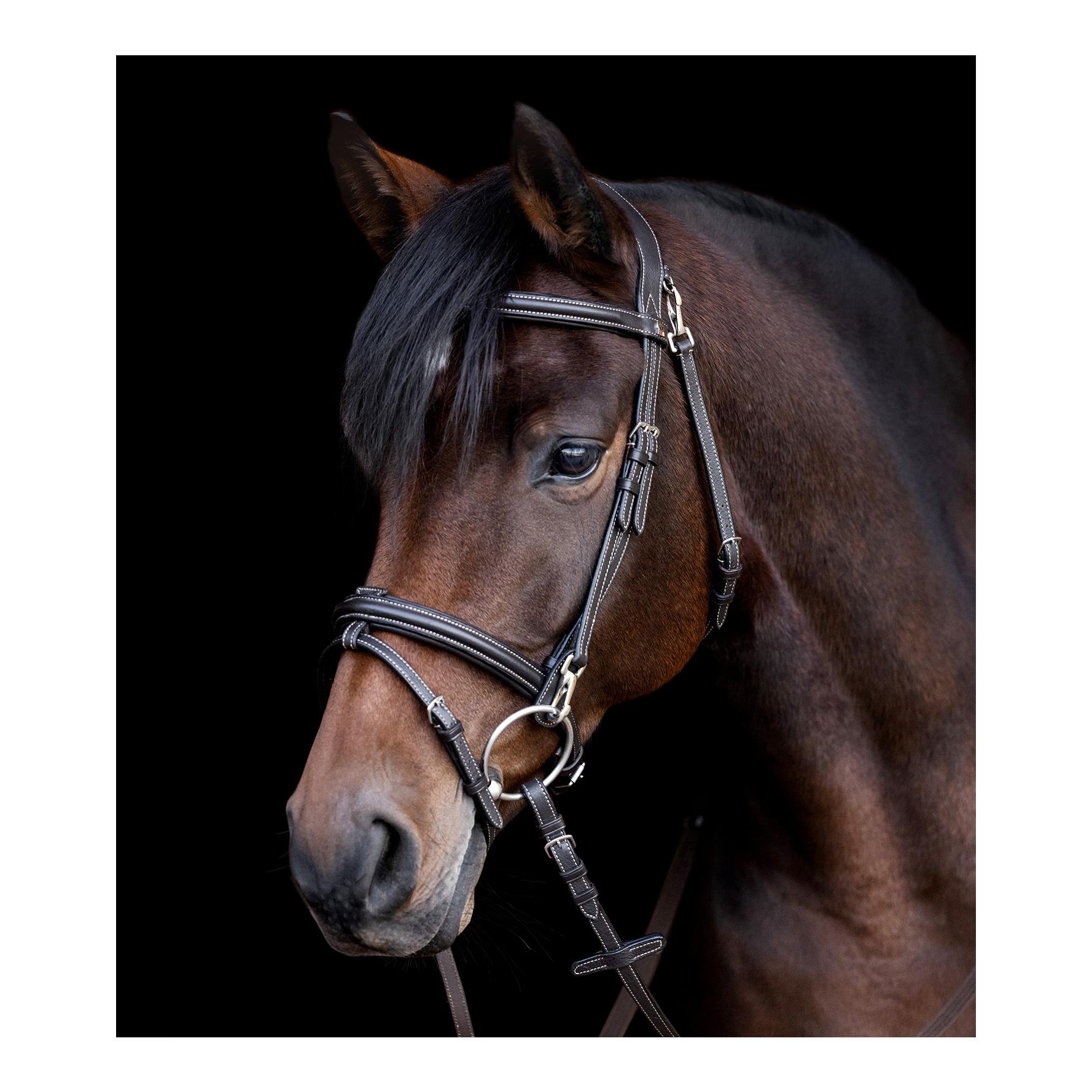 X-Line Waldhausen X-Line Bridon Work