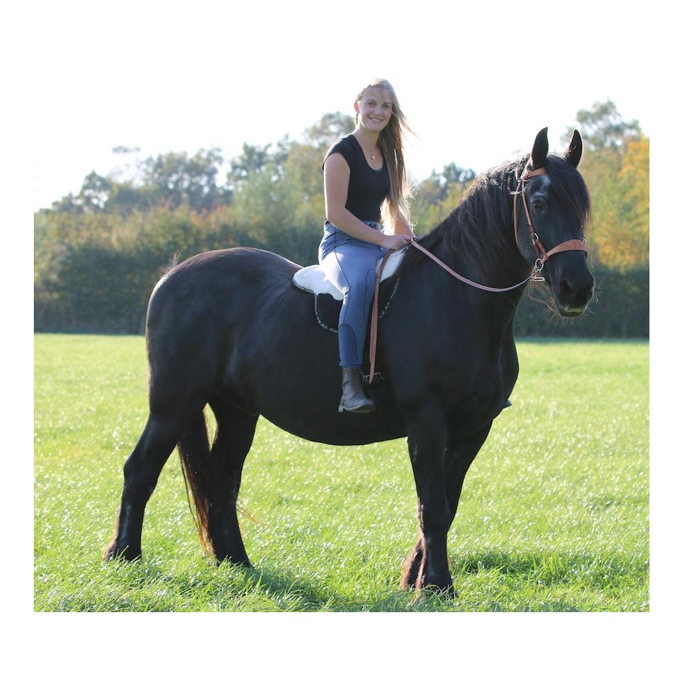 Reitkissen Free - natur