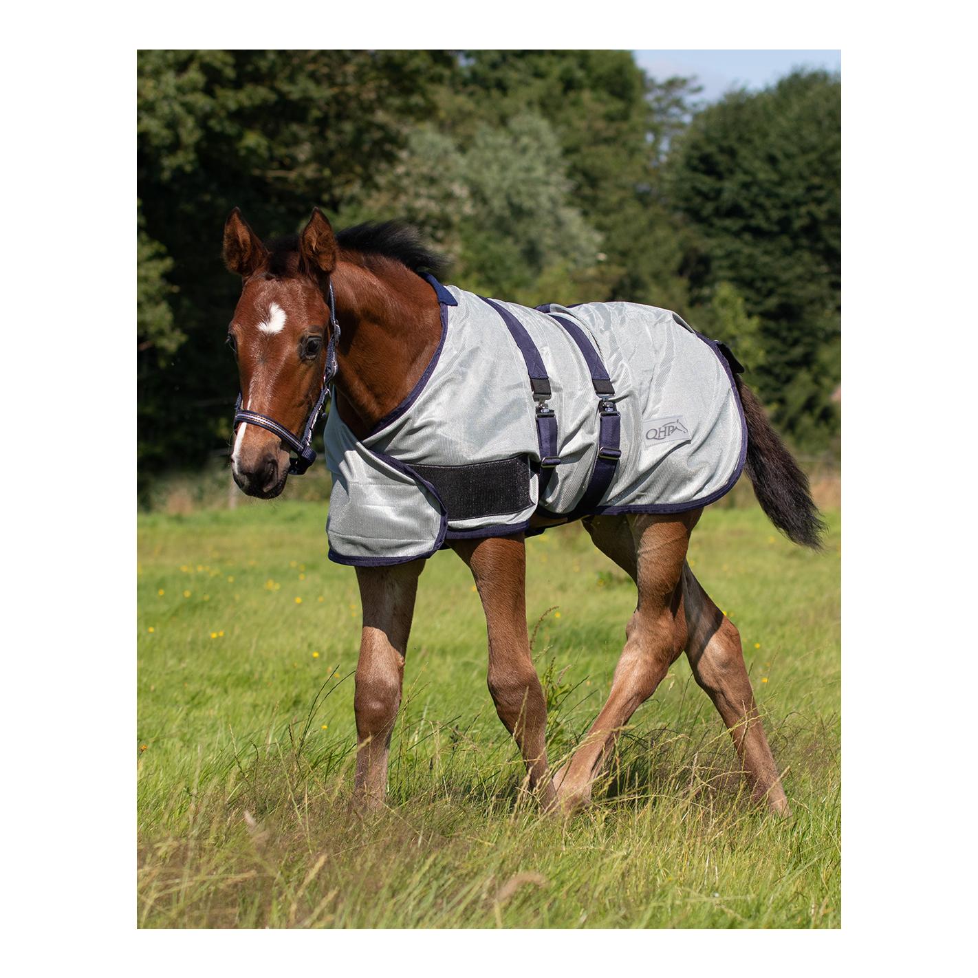 QHP Fohlenfliegendecke