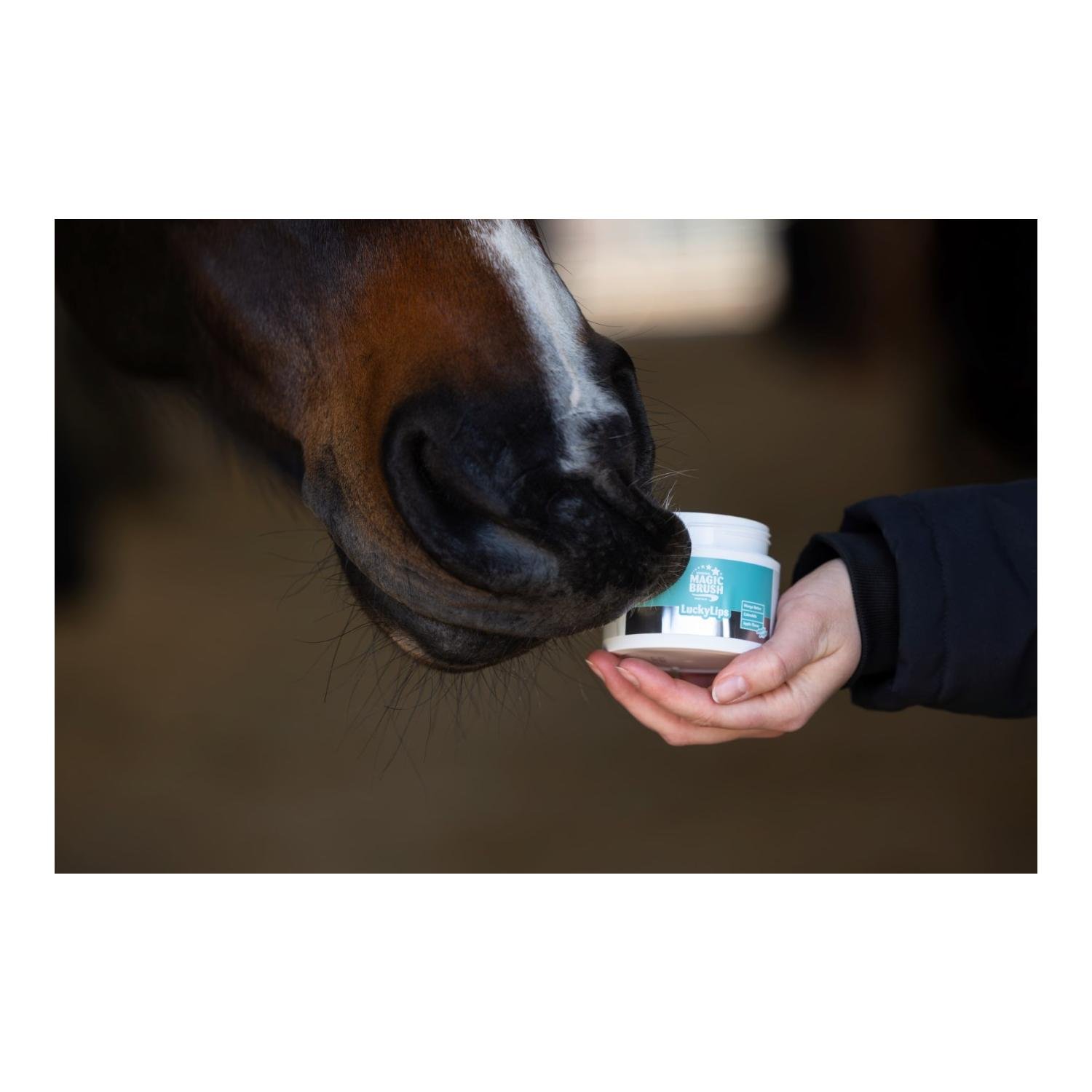 MagicBrush MagicBrush Lippenbalsam für Pferde Lucky Lips