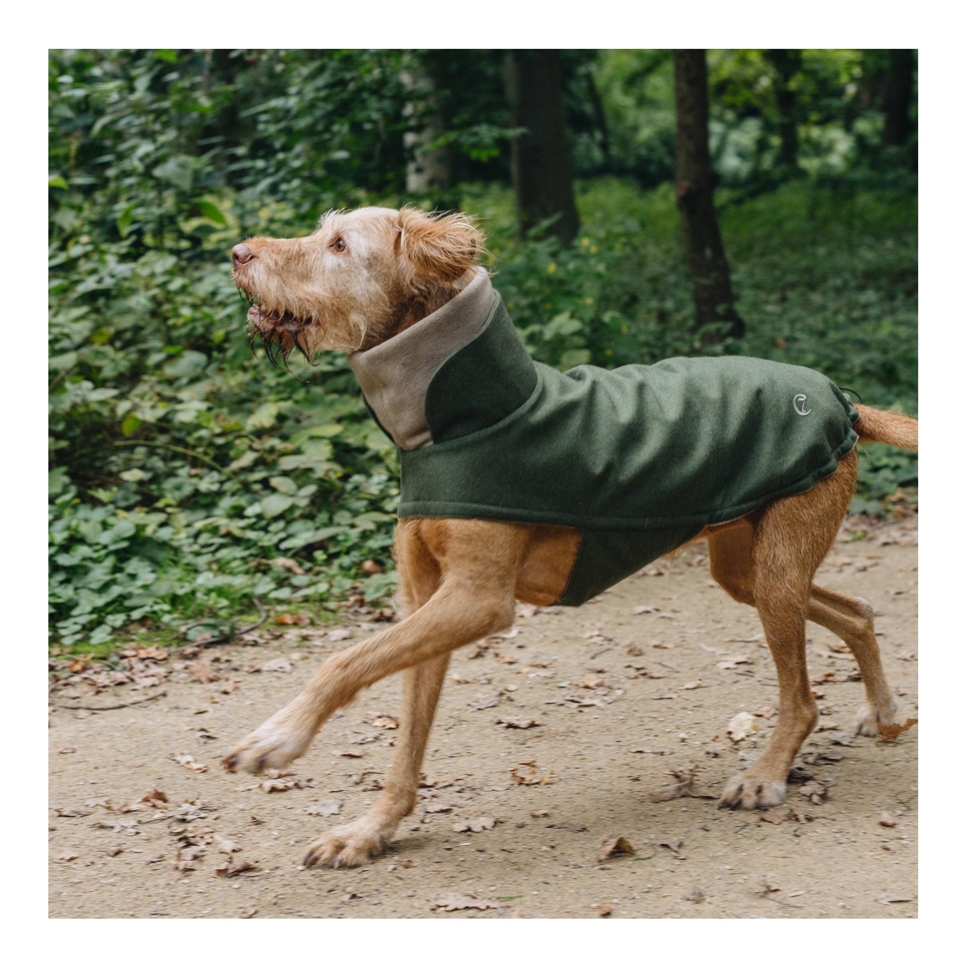 Hundemantel Brooklyn - fern green Hundemantel Brooklyn - fern green