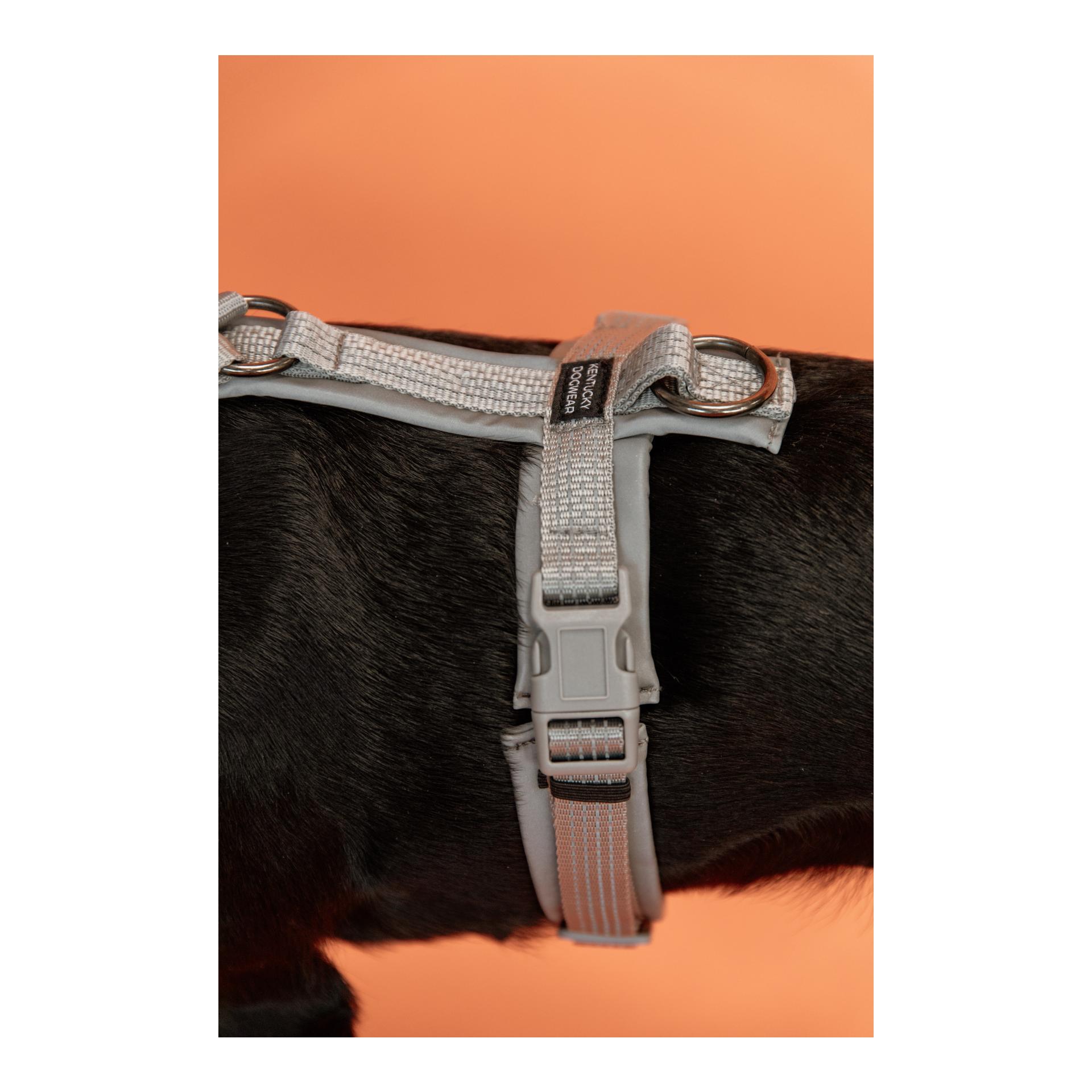 Hundegeschirr Aktiv reflektierend Hundegeschirr Aktiv reflektierend