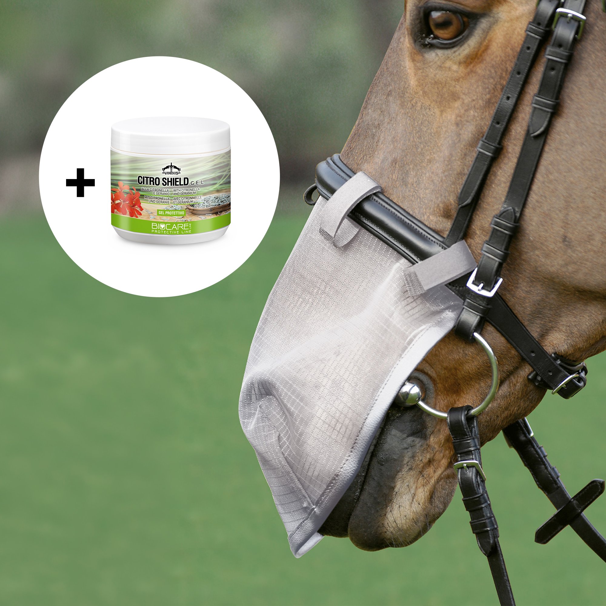 Fliegen-Nasenschutz und Insektengel Citro Shield Gel