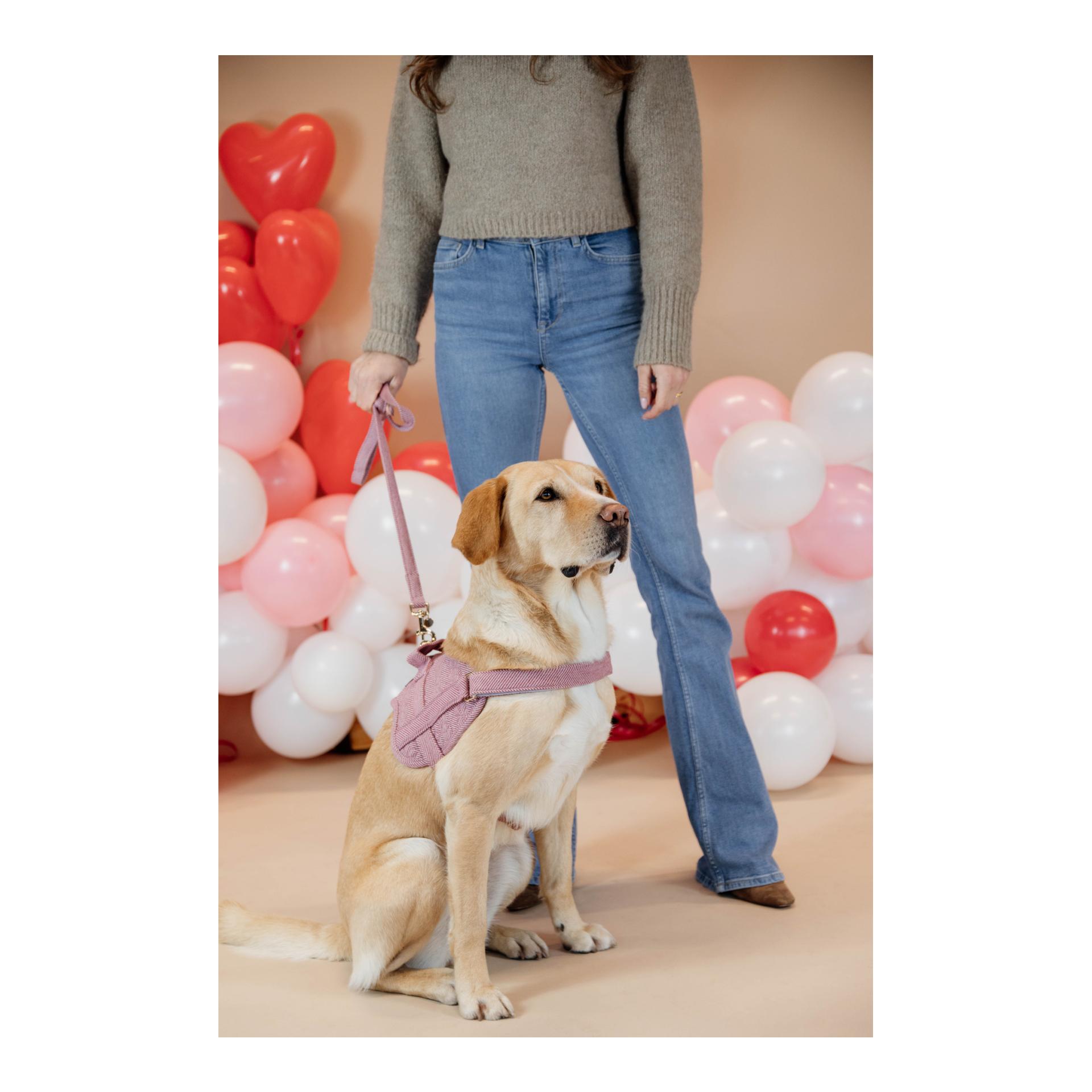 Hundeleine Wool - rosa/pink Hundeleine Wool - rosa/pink
