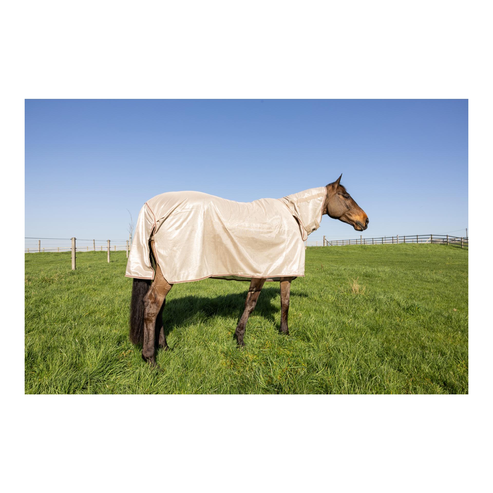 Kentucky Fliegendecke Comfort Classic mit Halsteil & Bauch