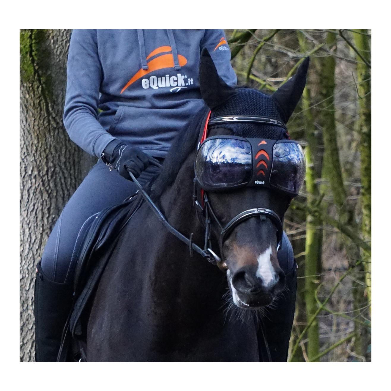 eQuick eVysor Augenschutz für Pferde mit UV-Schutz