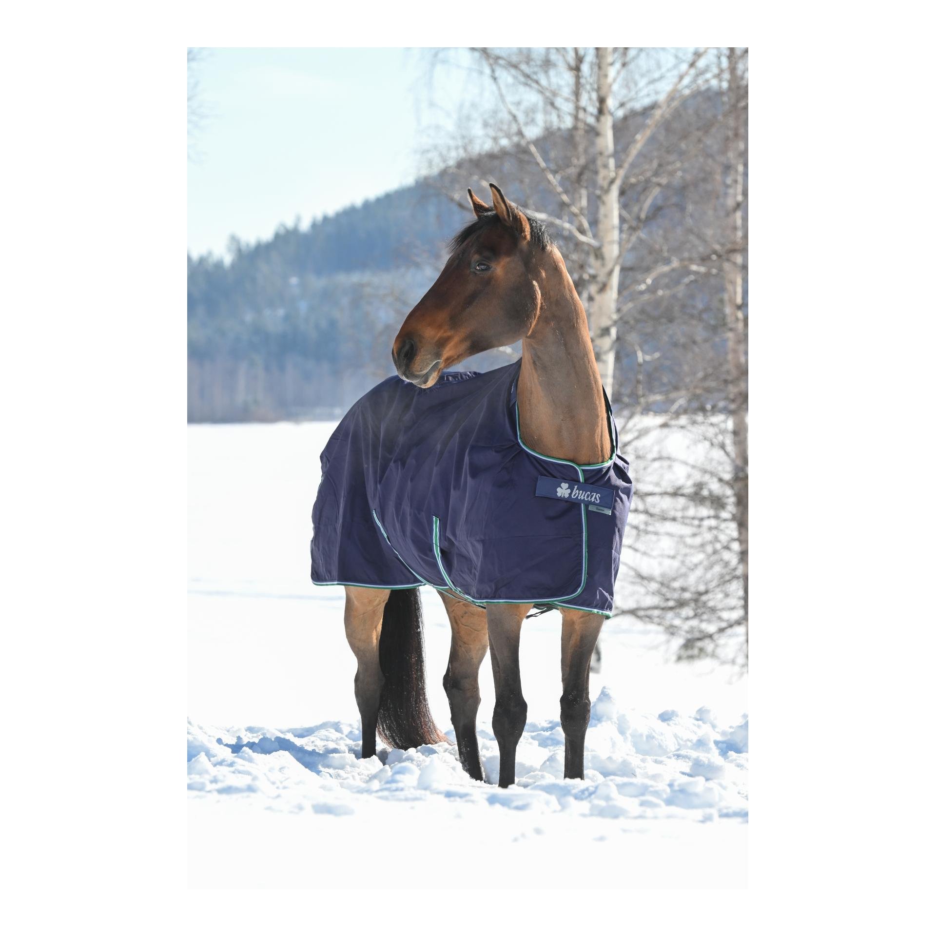 Winterdecke Smartex Extra Classic 300g - blau