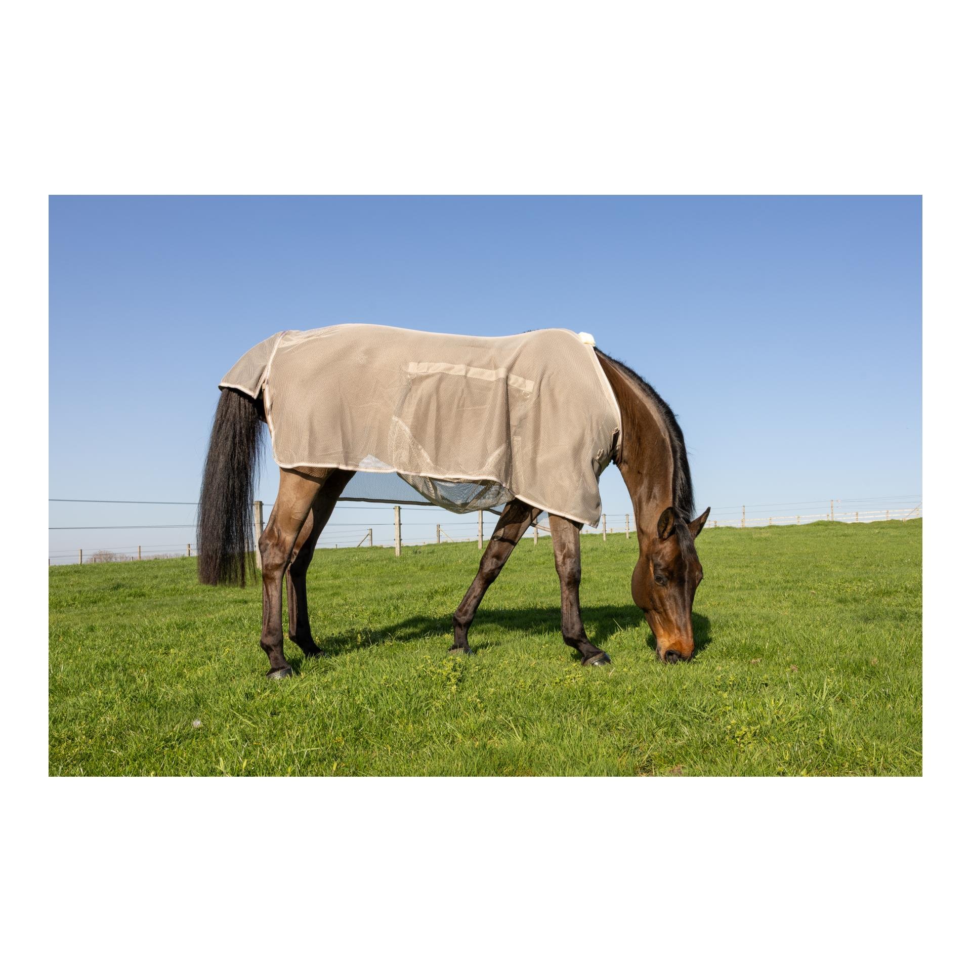 Kentucky Fliegendecke mit Bauchteil Comfort