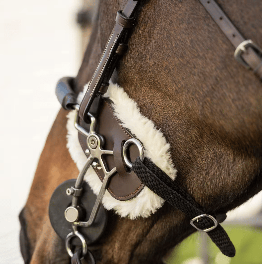 Dy'on Hackamore Schutz Lammfell