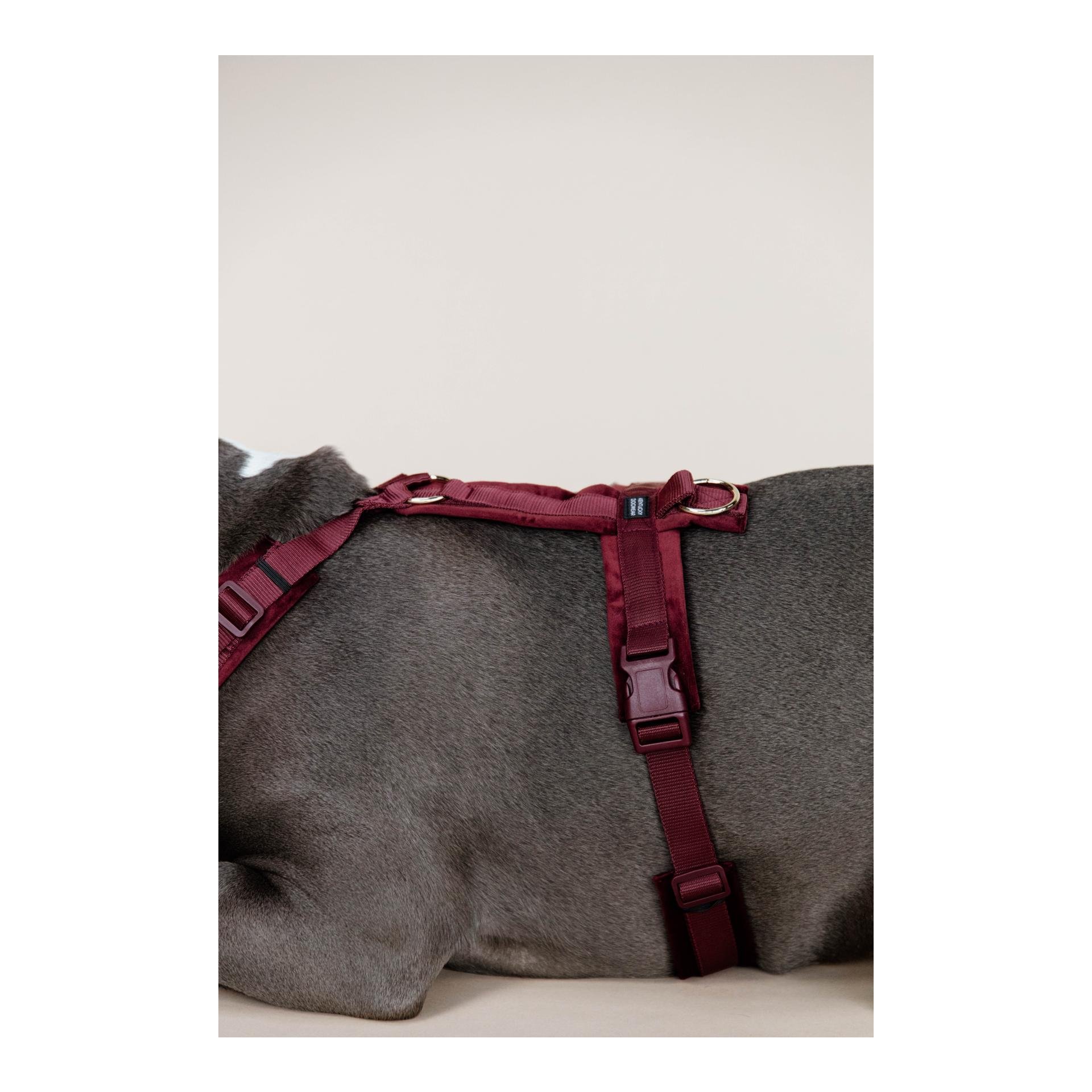 Hundegeschirr Active Velvet Hundegeschirr Active Velvet