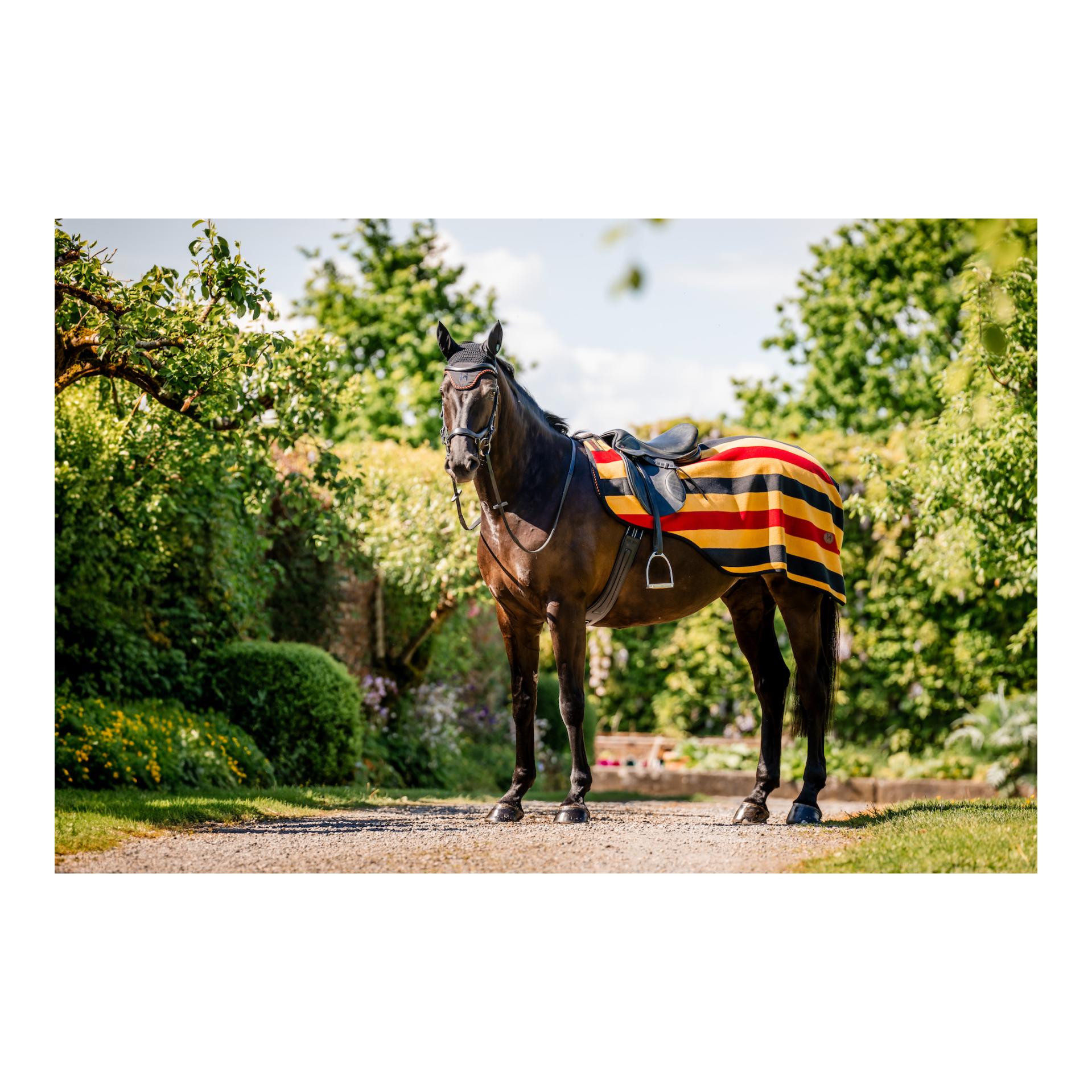 Newmarket Exercise Sheet