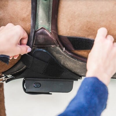 RS-Kat-Sonstiges RS-Kat-Sonstiges