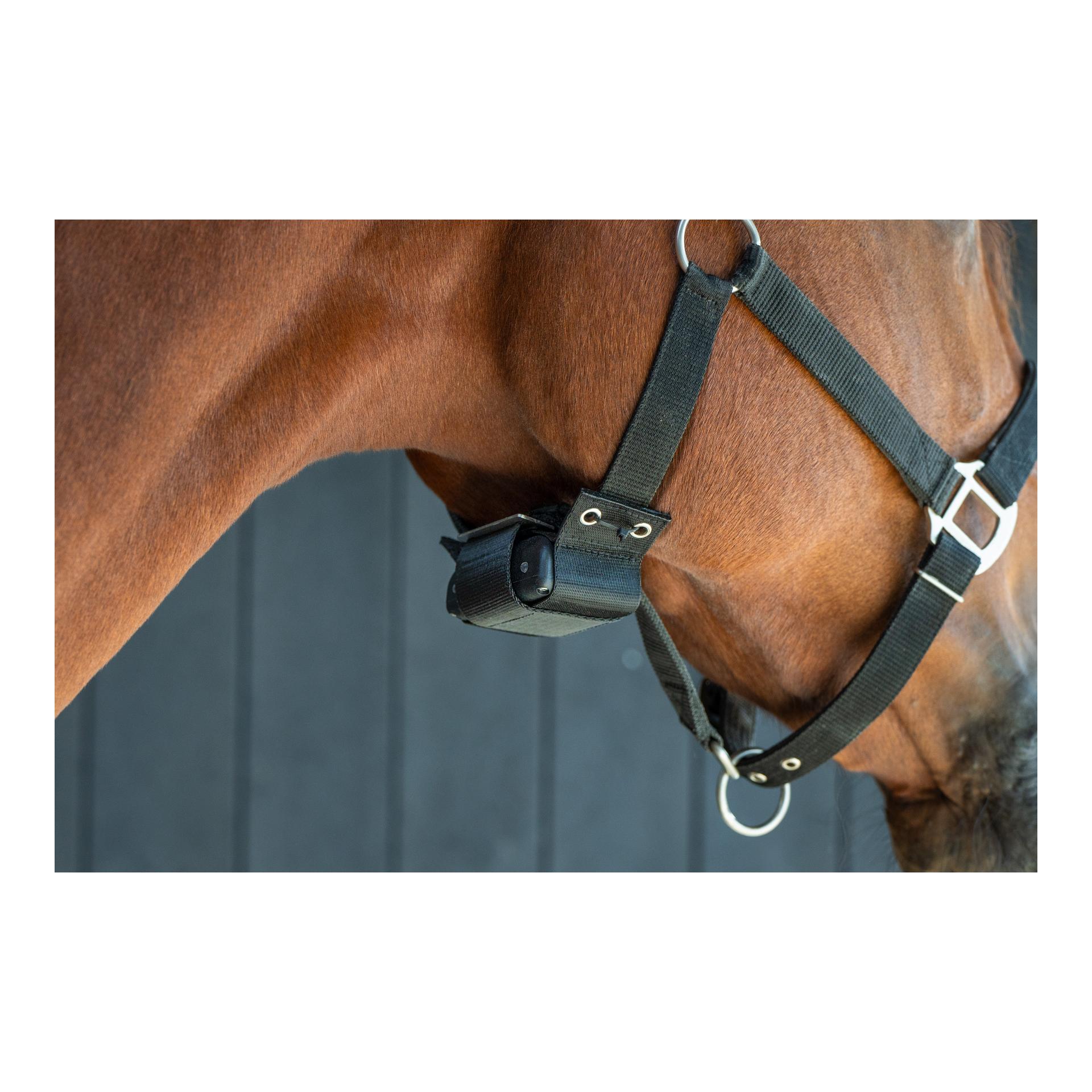 Birth Alarm Set - Birth Alarm Lite 2.0 inkl. WiFi Kamera