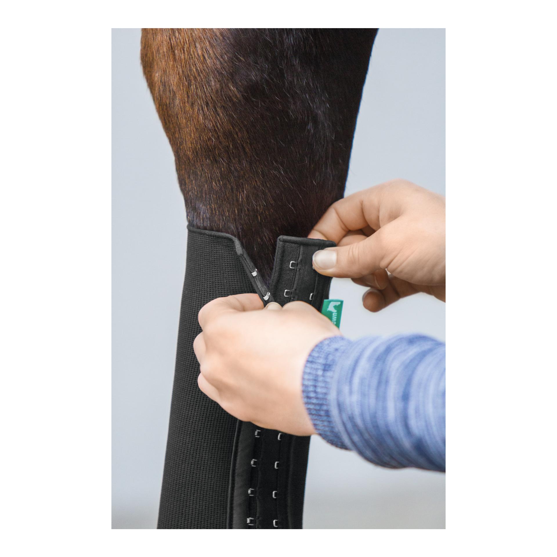 EquiCrown Kompressionsbandage fit - hinten, Hakenverschluss - grau