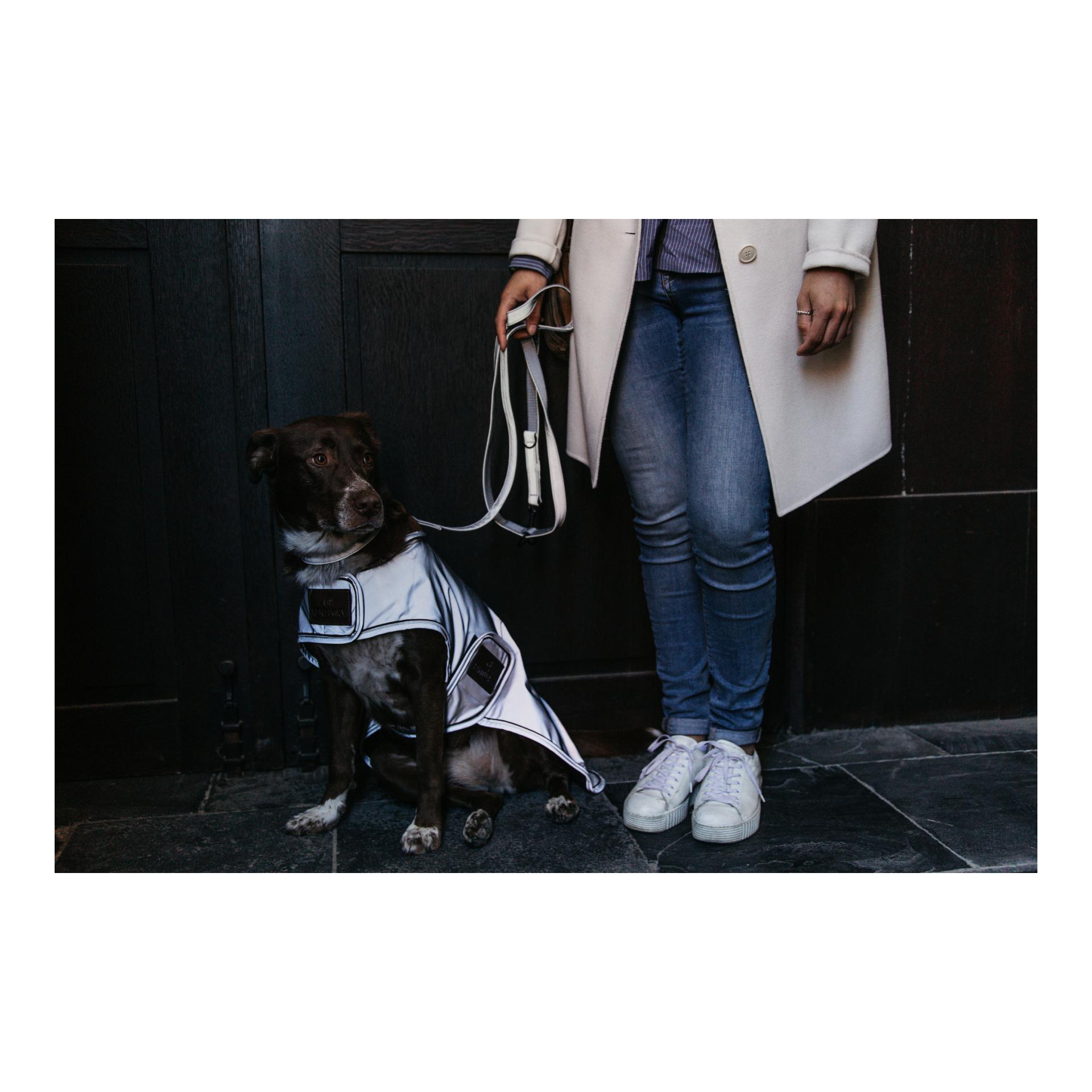 Hundemantel reflektierend & wasserabweisend Hundemantel reflektierend & wasserabweisend