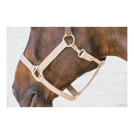 Nylon Halfter Breakaway Nylon Halfter Breakaway