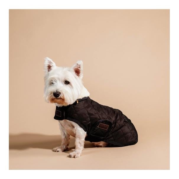 Hundemantel Original - brown Hundemantel Original - brown