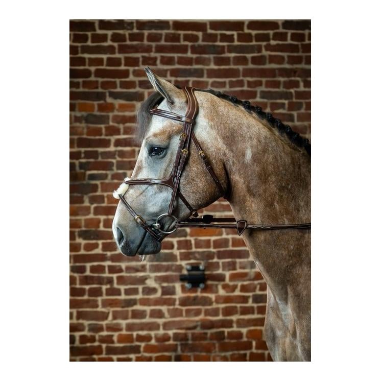 Zaum Mexikanisch mit Ziernaht - braun