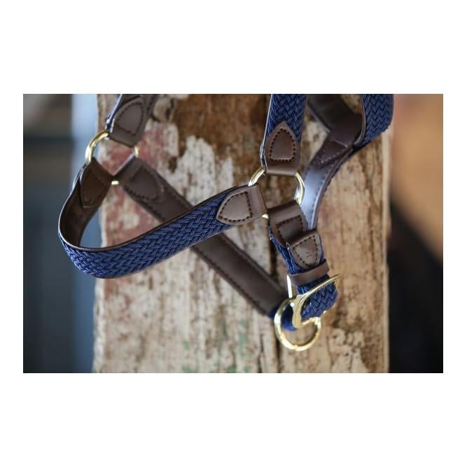 Stallhalfter Plaited Nylon - blau/braun Stallhalfter Plaited Nylon - blau/braun