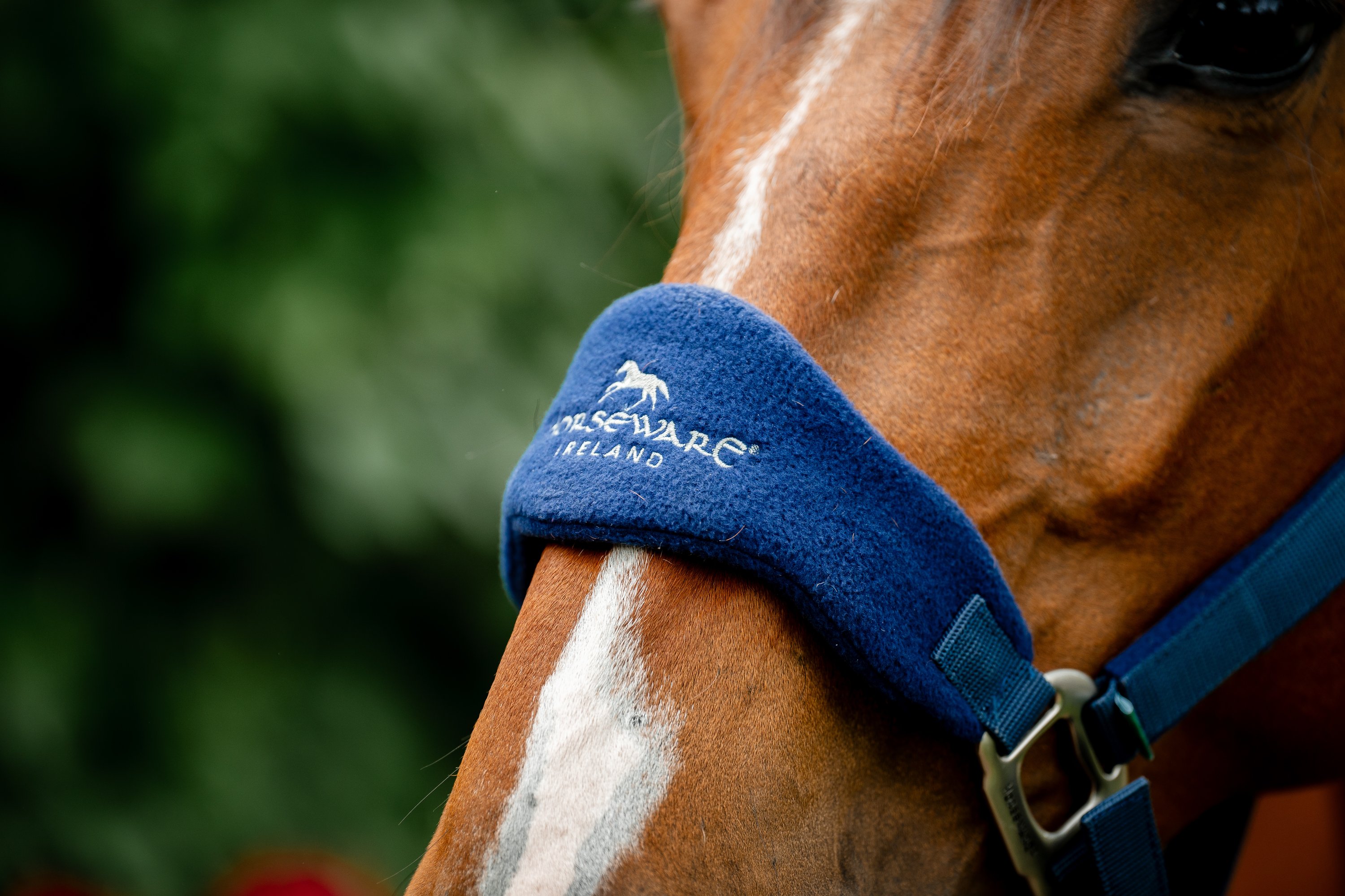 Halfter Grooming Signature Halfter Grooming Signature