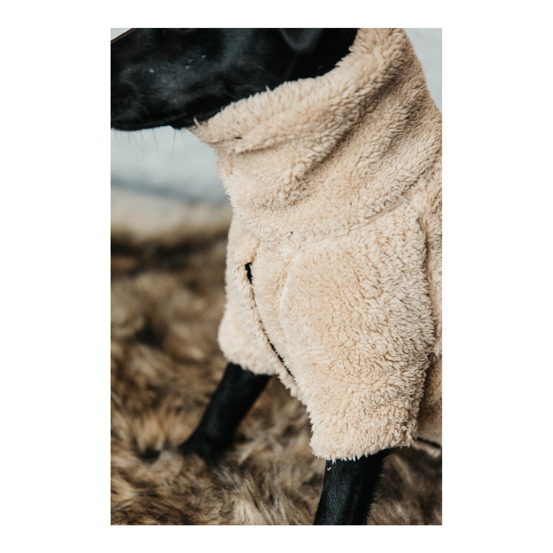 Hundepullover Teddy Fleece - beige Hundepullover Teddy Fleece - beige