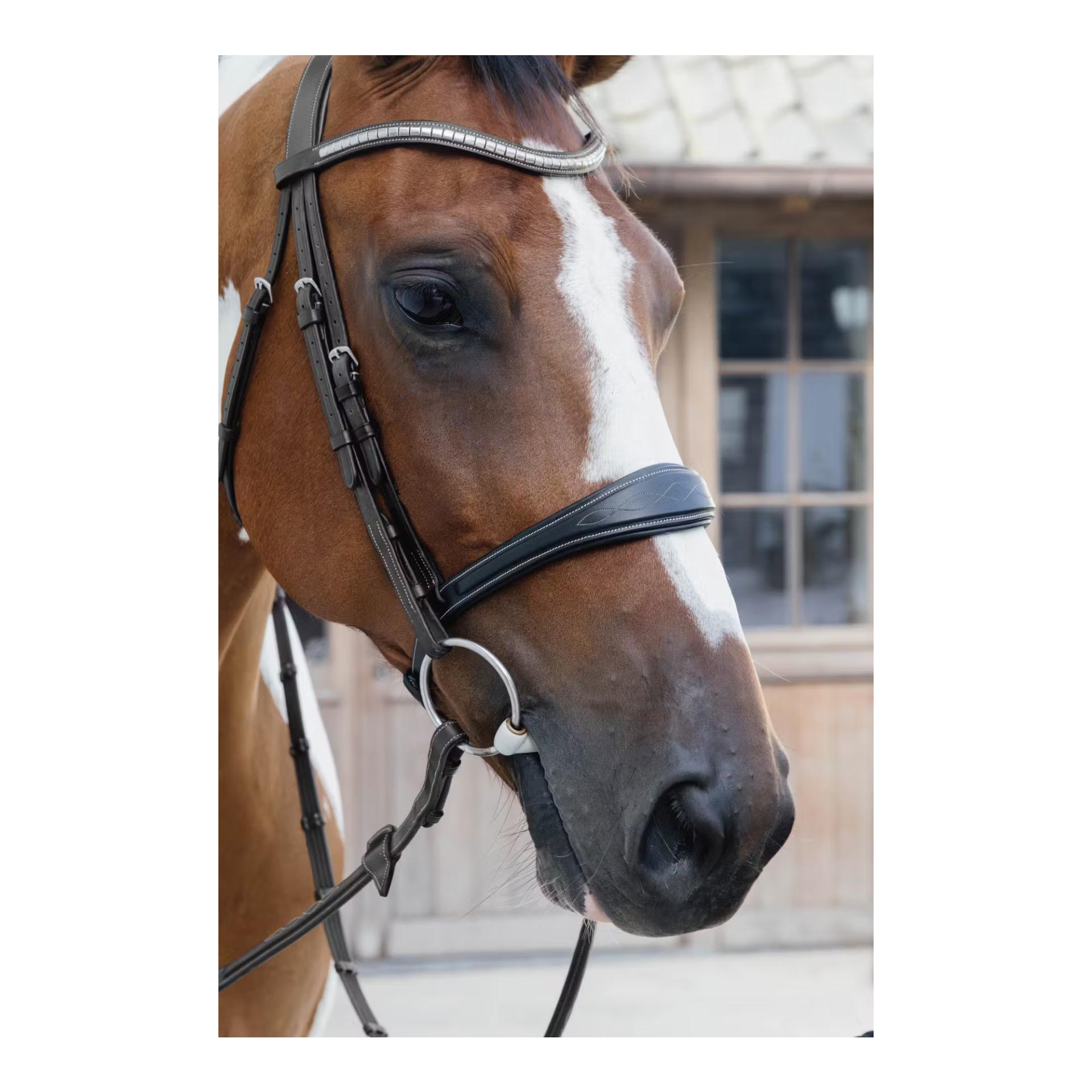 Anatomic noseband without flash Jumping Anatomic noseband without flash Jumping