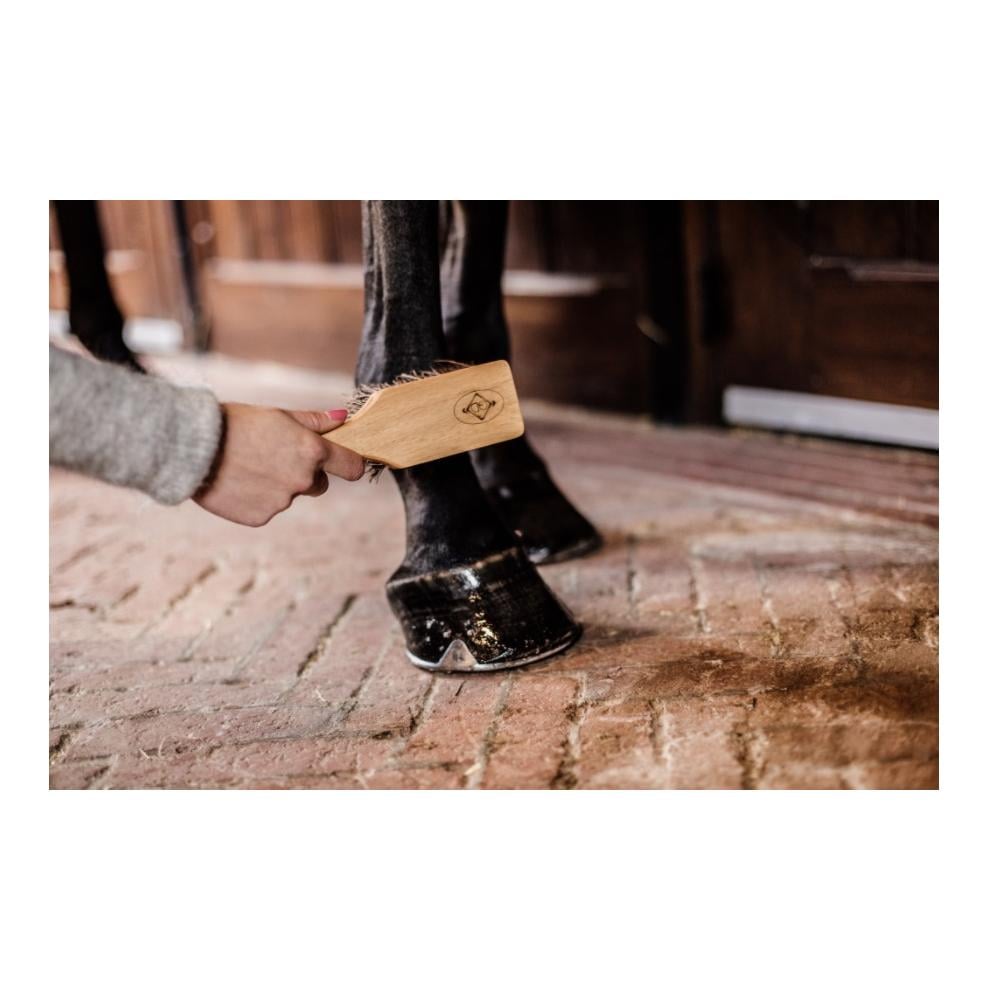 Hufbürste / Hoof Brush