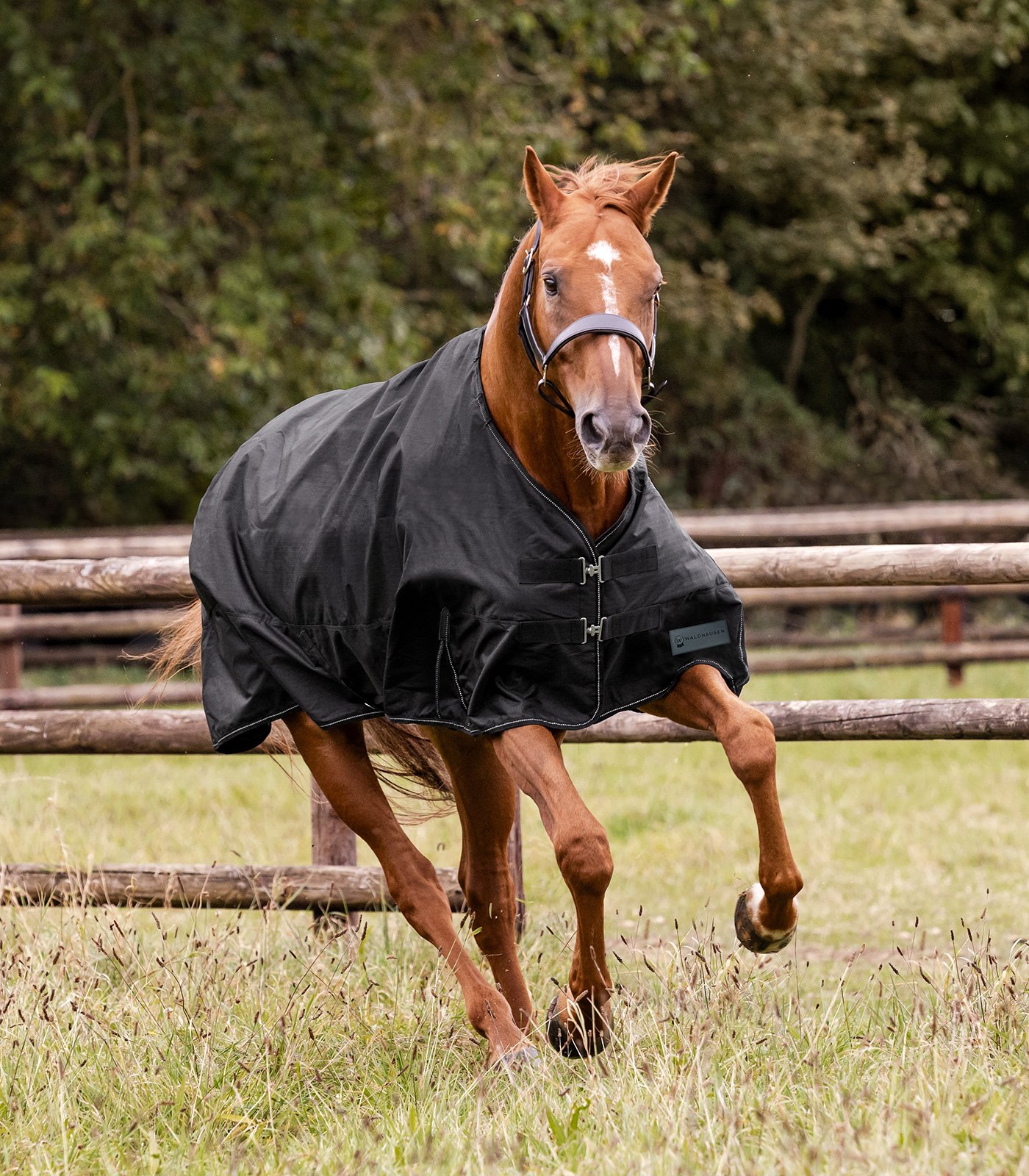 Weidedecke Nordic 100g