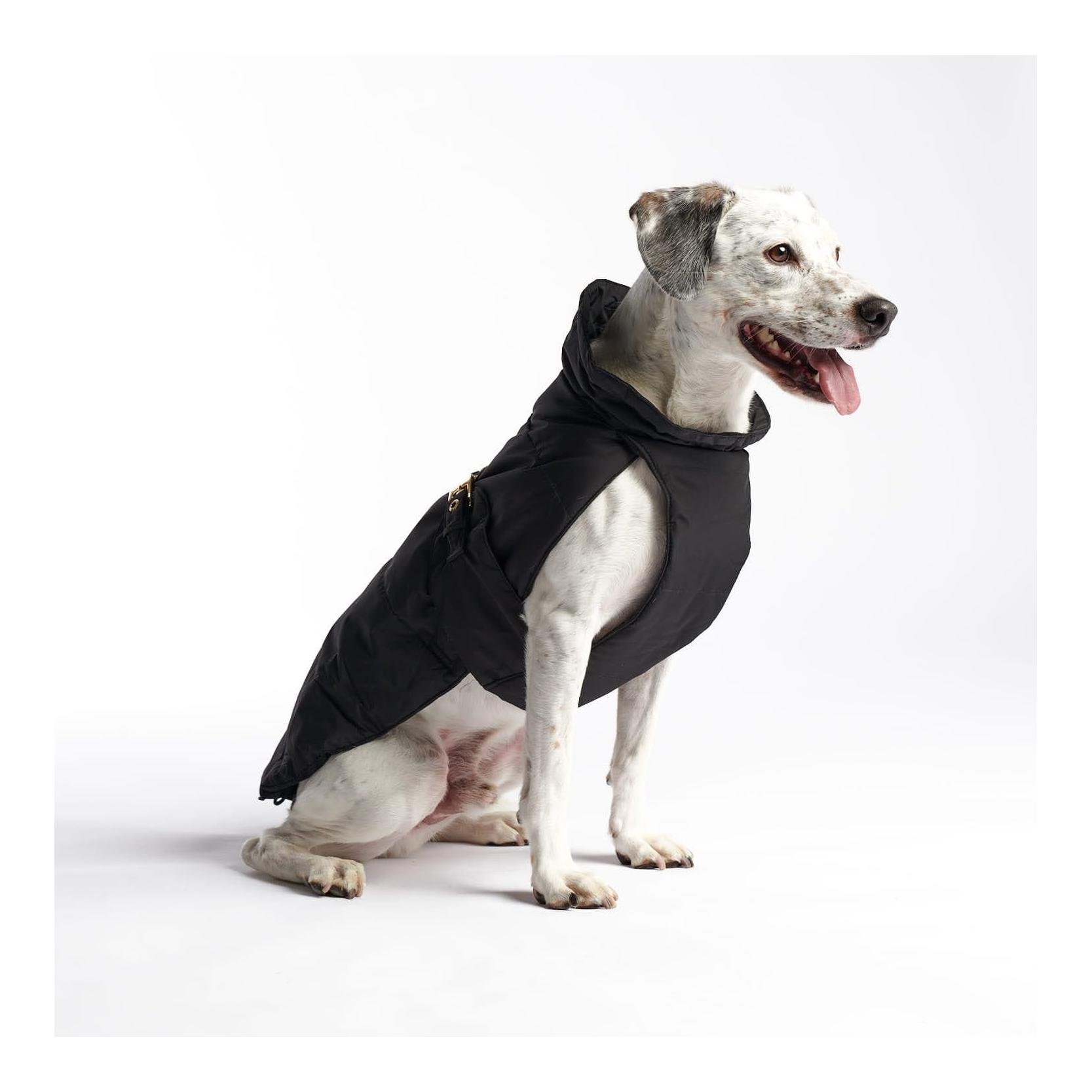 Hundemantel Superior Hundemantel Superior