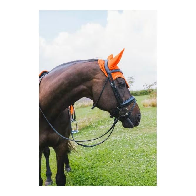 Kentucky Fliegenhaube Wellington diamond rope