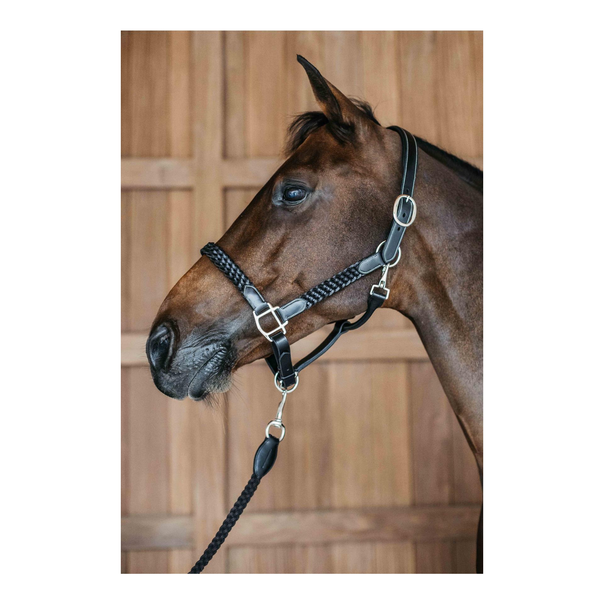 Halfter Plaited Halfter Plaited