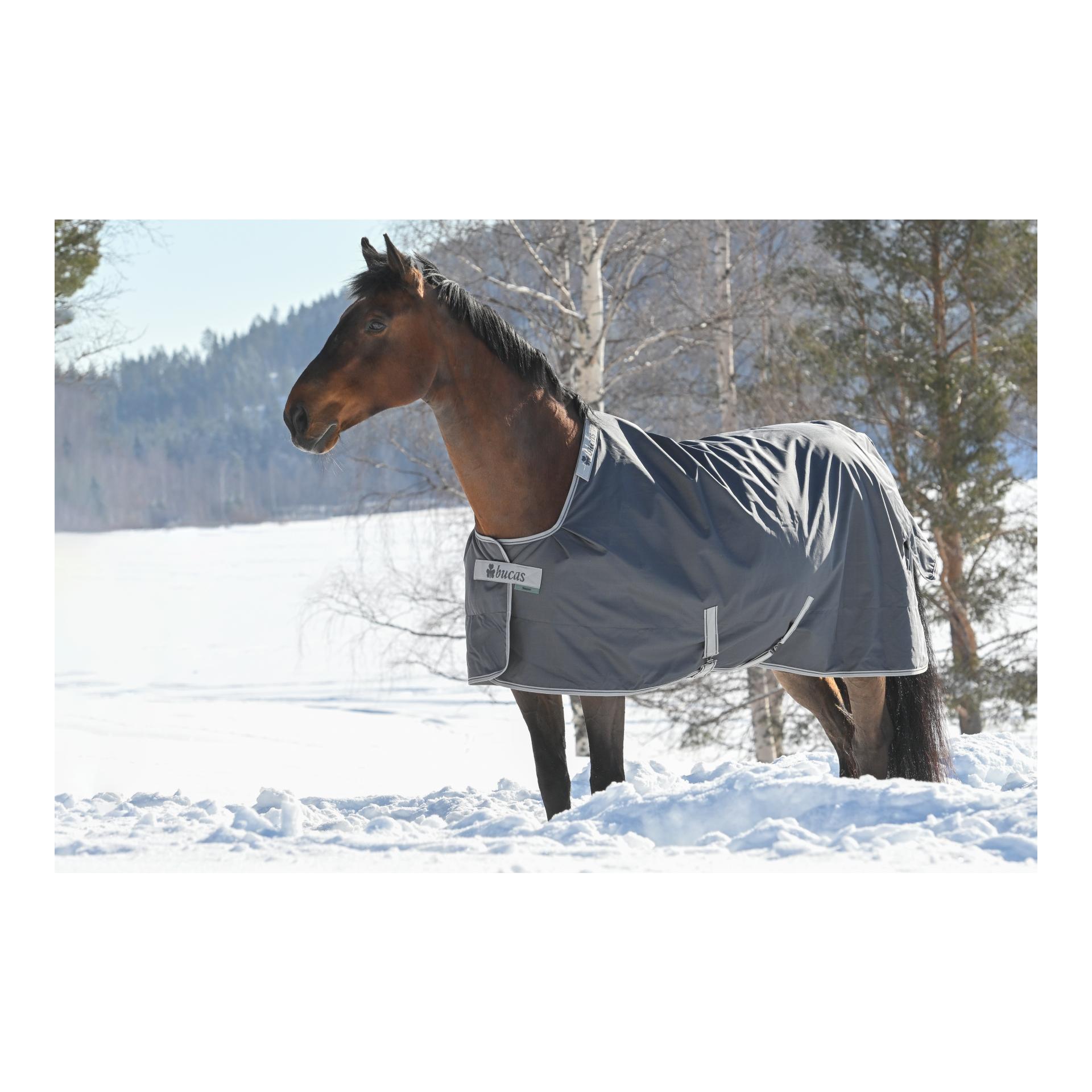 Winterdecke Smartex Extra Classic 300g - grau