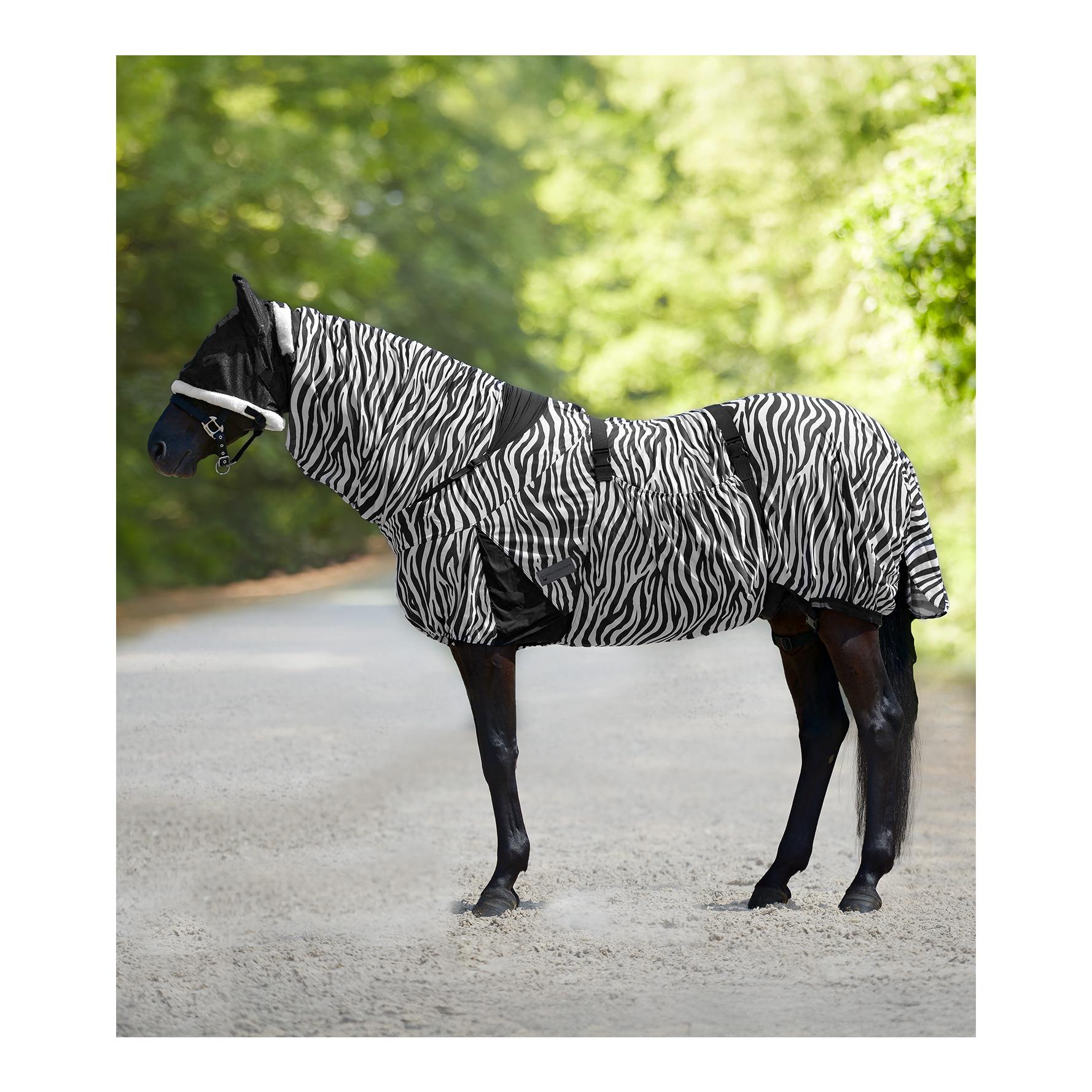 Ekzemerdecke Zebra