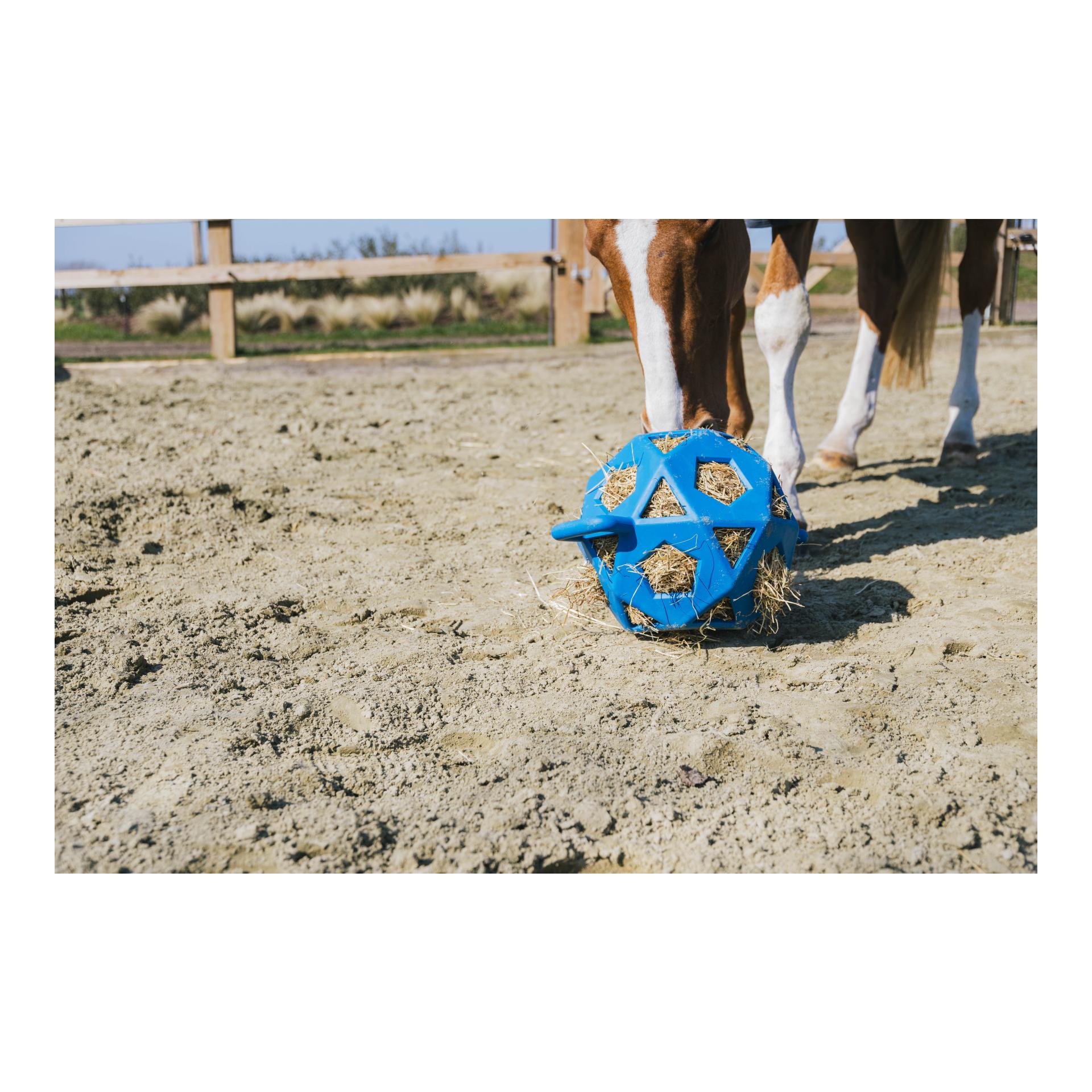Relax Horse Spiel & Heuball Relax Horse Spiel & Heuball