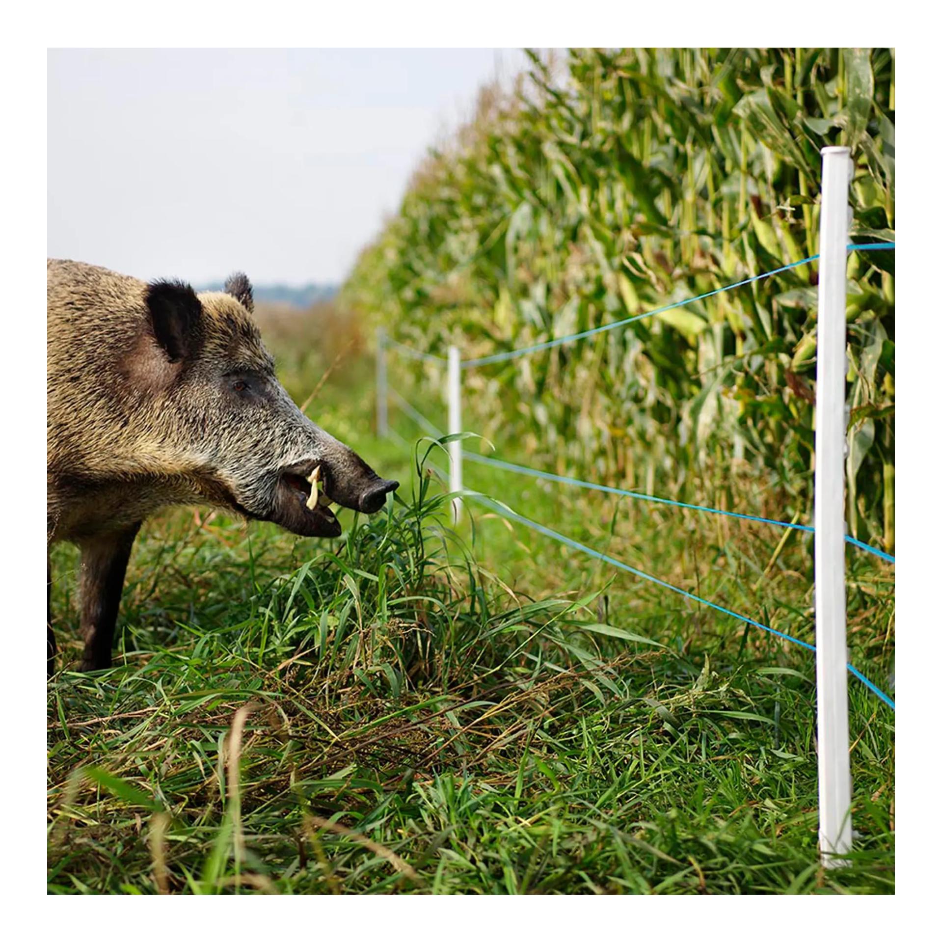 Gallagher TurboLine Litze Blau