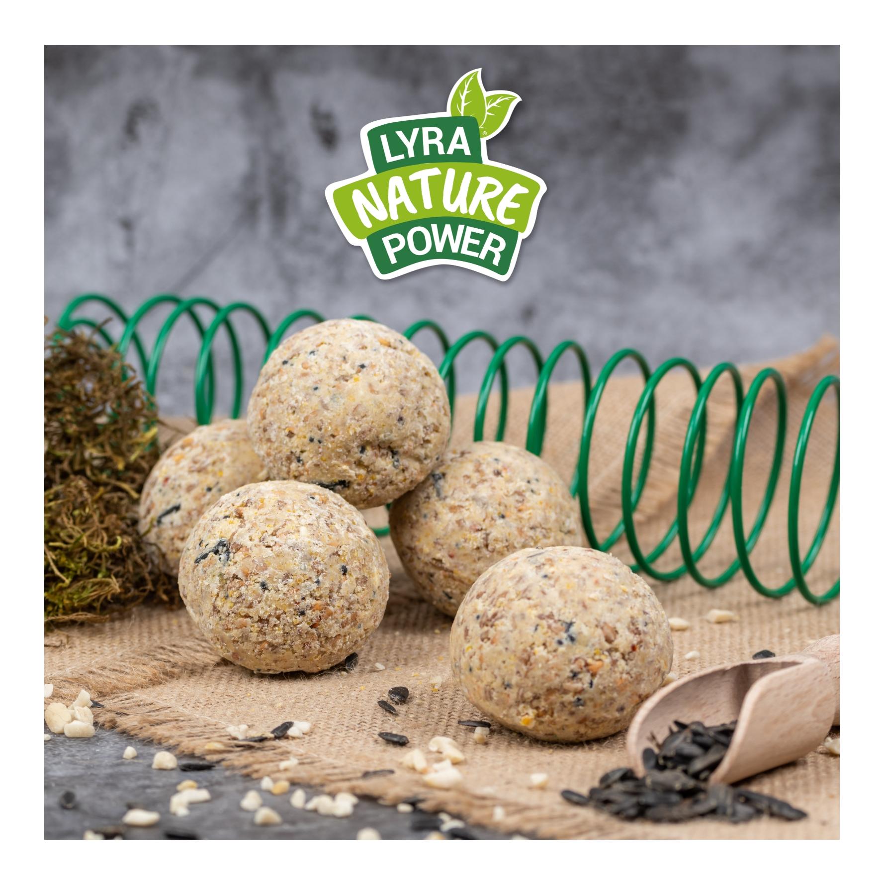 Meisenknödel aus der ALB-MÜHLE ohne Netz Vollkorn & Nuss + 2 Spender Meisenknödel aus der ALB-MÜHLE ohne Netz Vollkorn & Nuss + 2 Spender