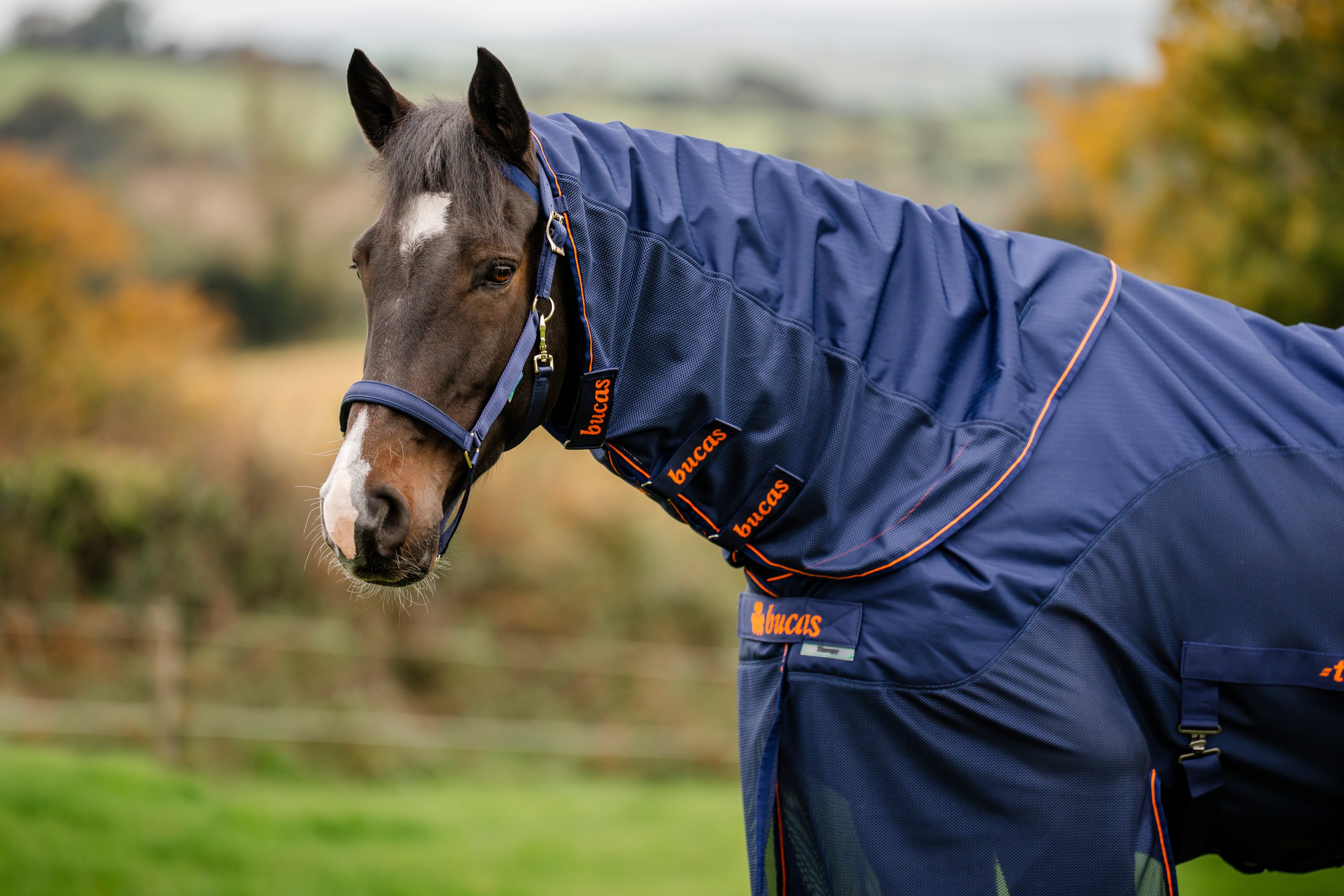 Bucas Therapy X-Range rain + Neck