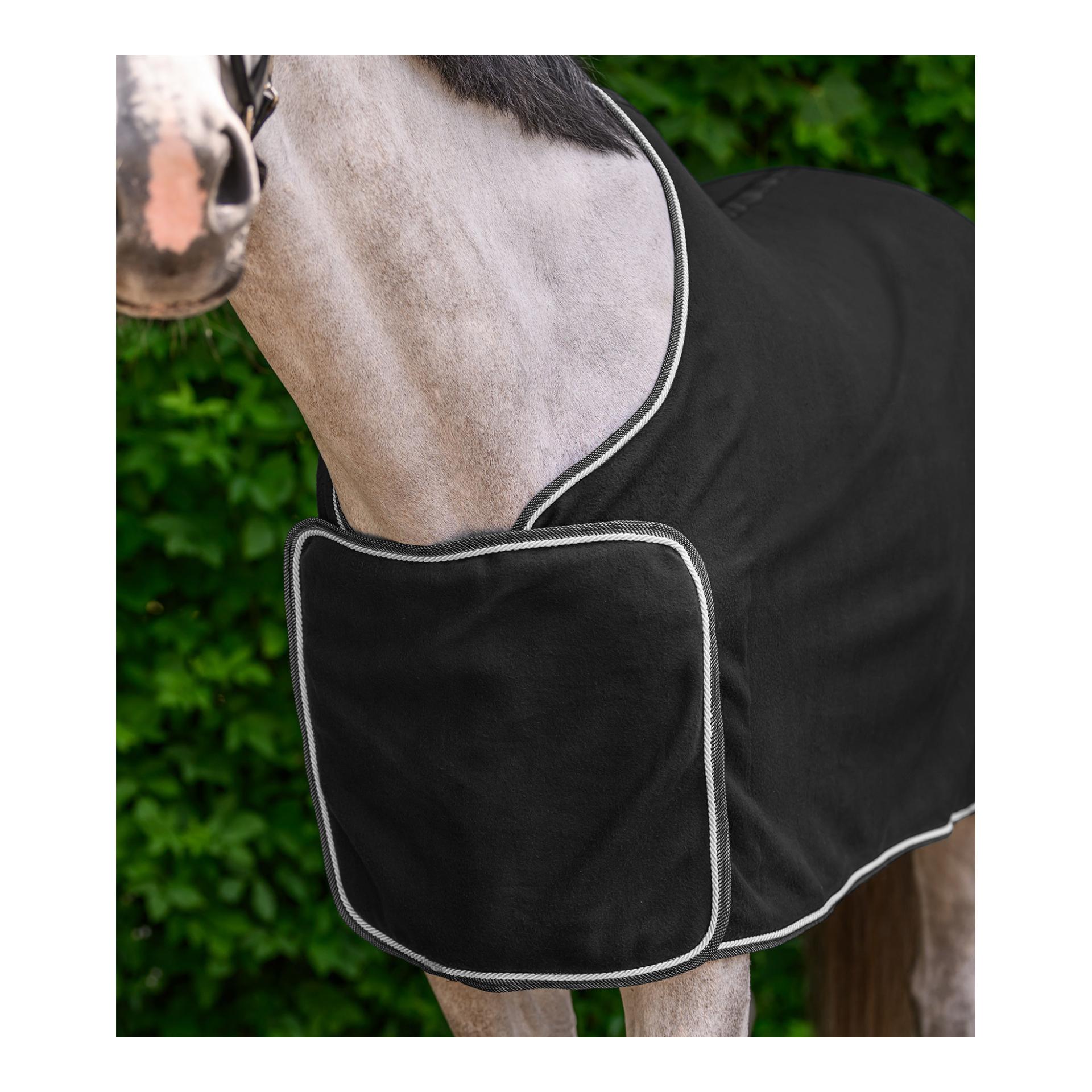 Waldhausen Polaire ÉCONOMIQUE