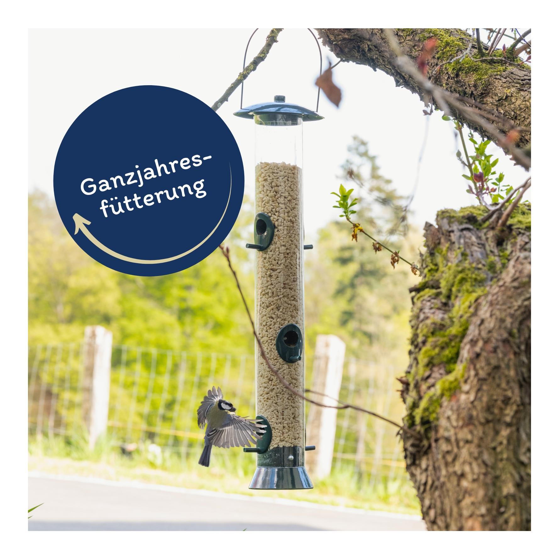 Erdnusskerne weiss gehackt HK Südamerika