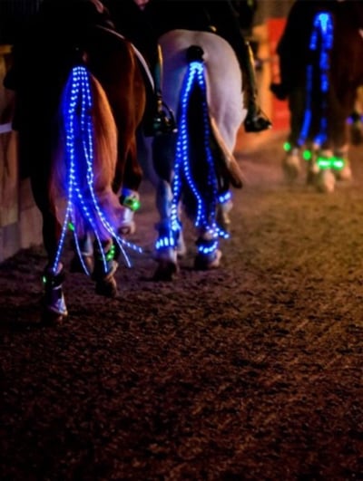 RS-Shopbanner-Leuchtartikel